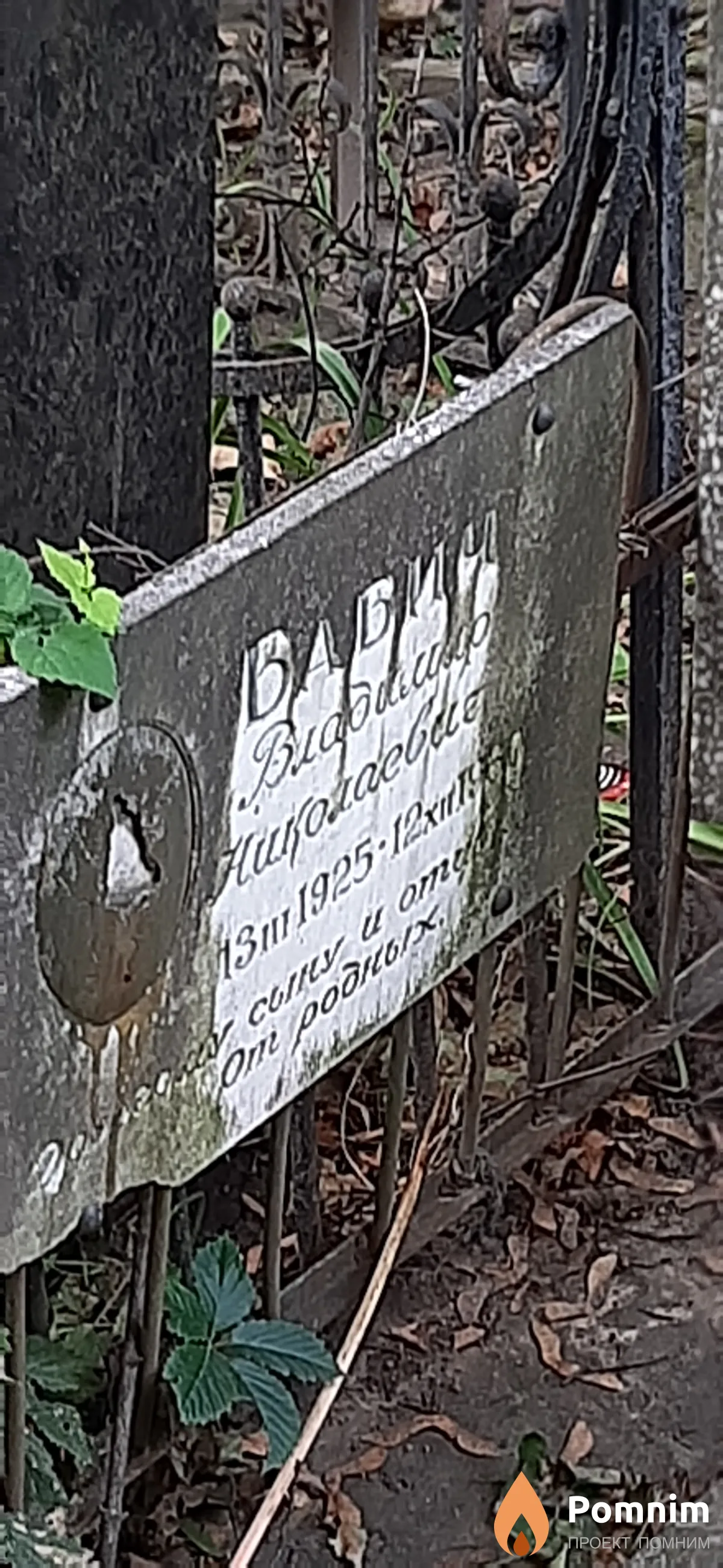 Бабич Владимир Николаевич