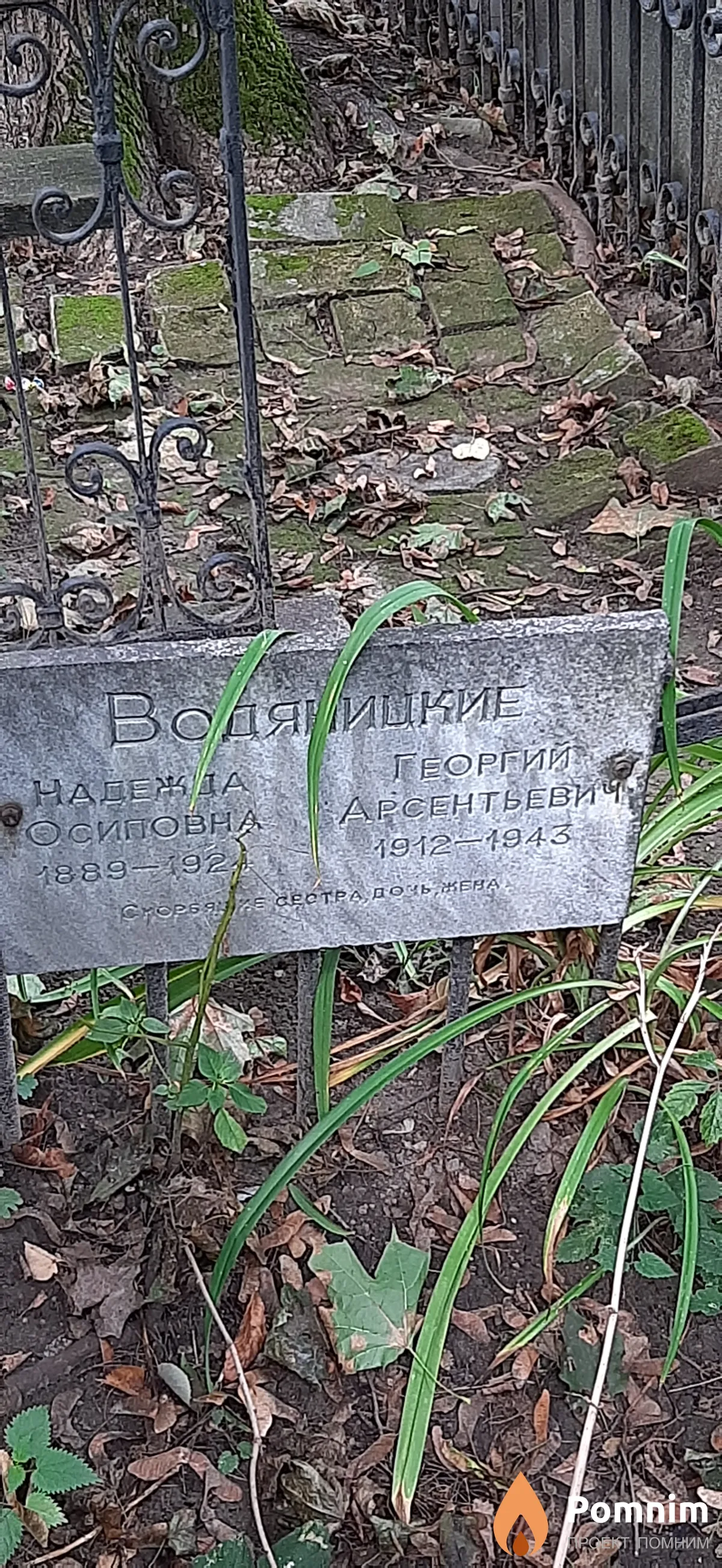 Водяницкий Георгий Арсентьевич