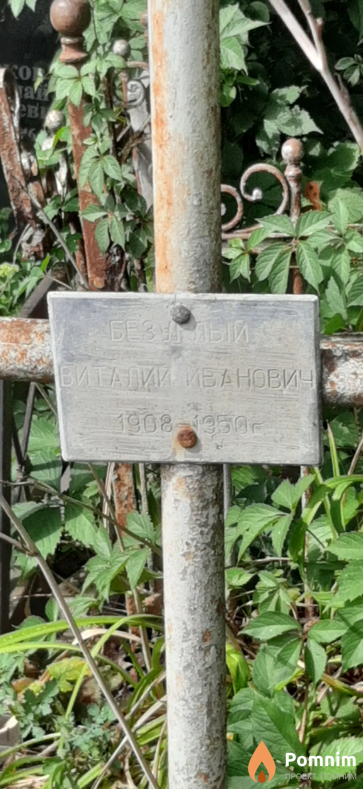 Безуллый Виталий Иванович