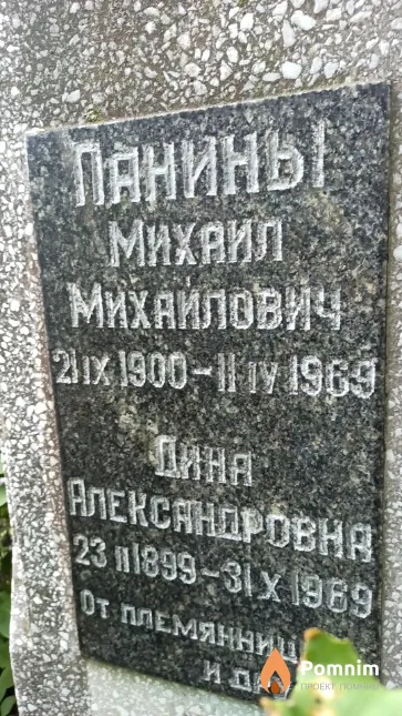 Панина Дина Александровна