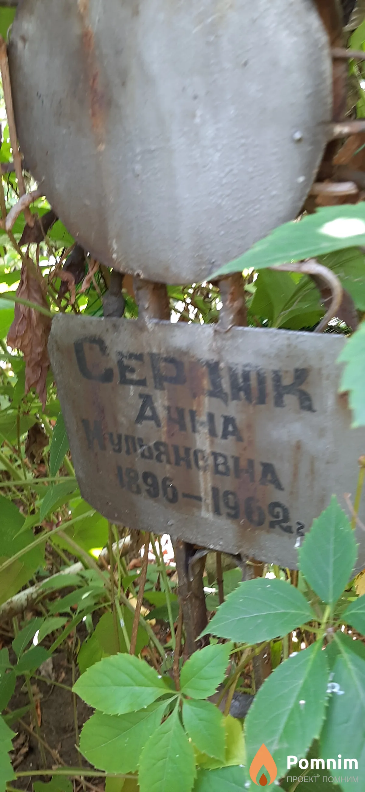 Сердник Анна Иульяновна