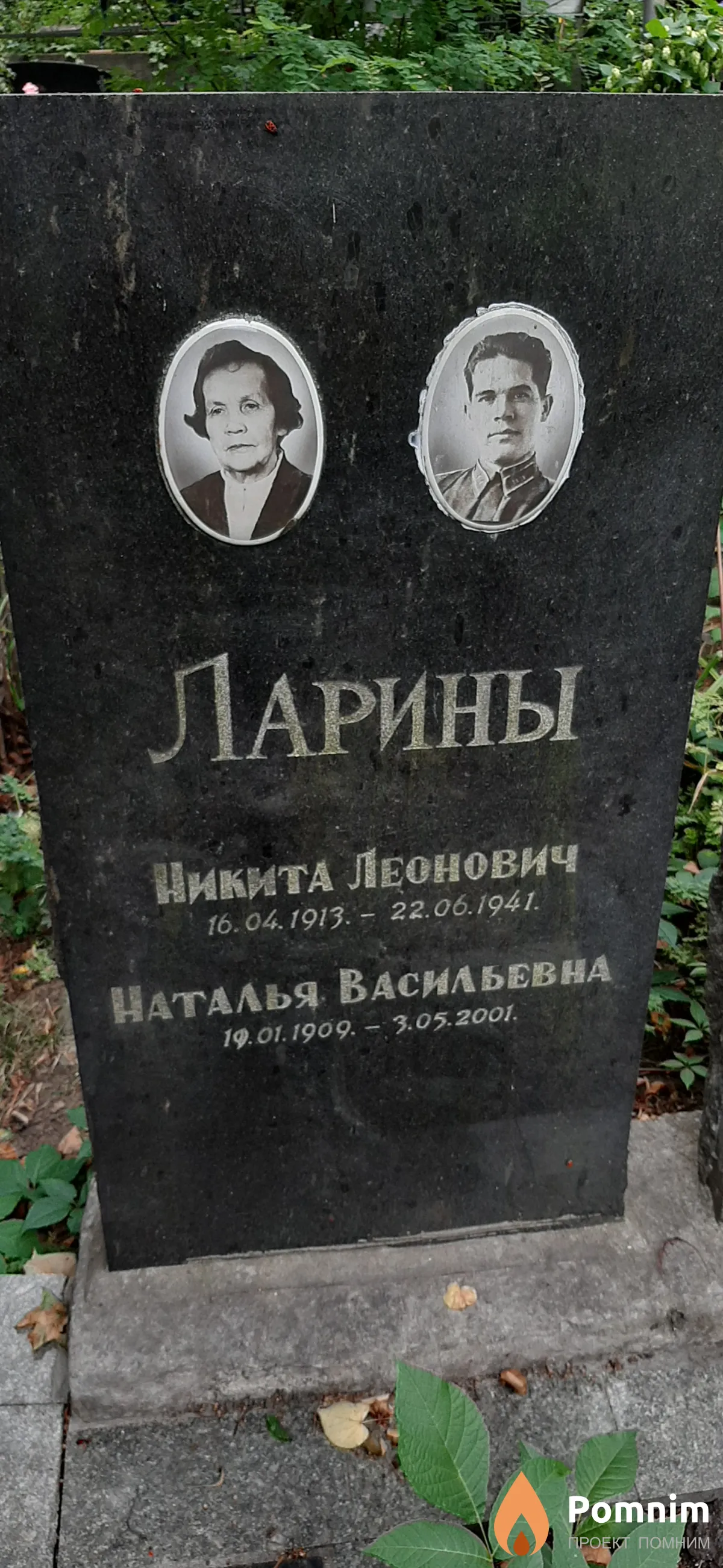 Ларина Наталья Васильевна