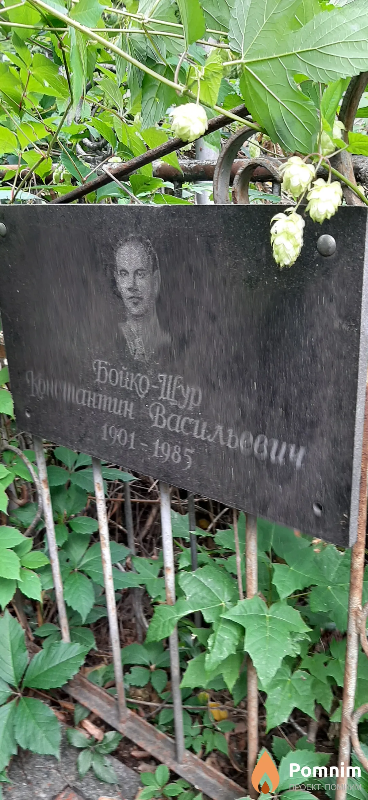 Бойко-Шур Константин Васильевич