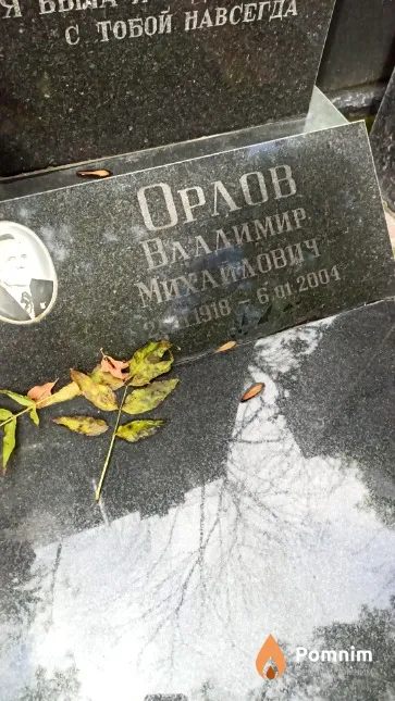 Орлов Владимир Михайлович