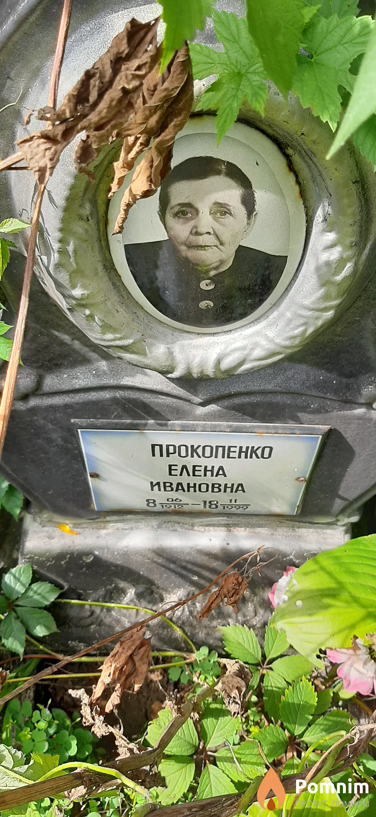 Прокопенко Елена Ивановна