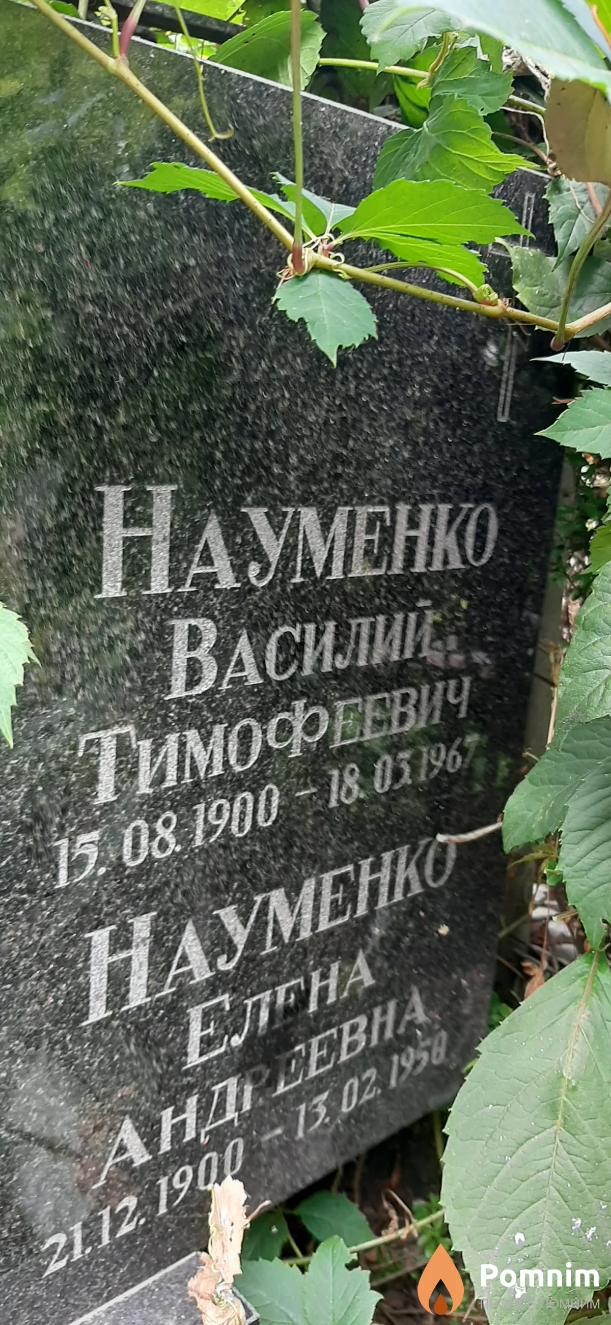 Науменко Василий Тимофеевич