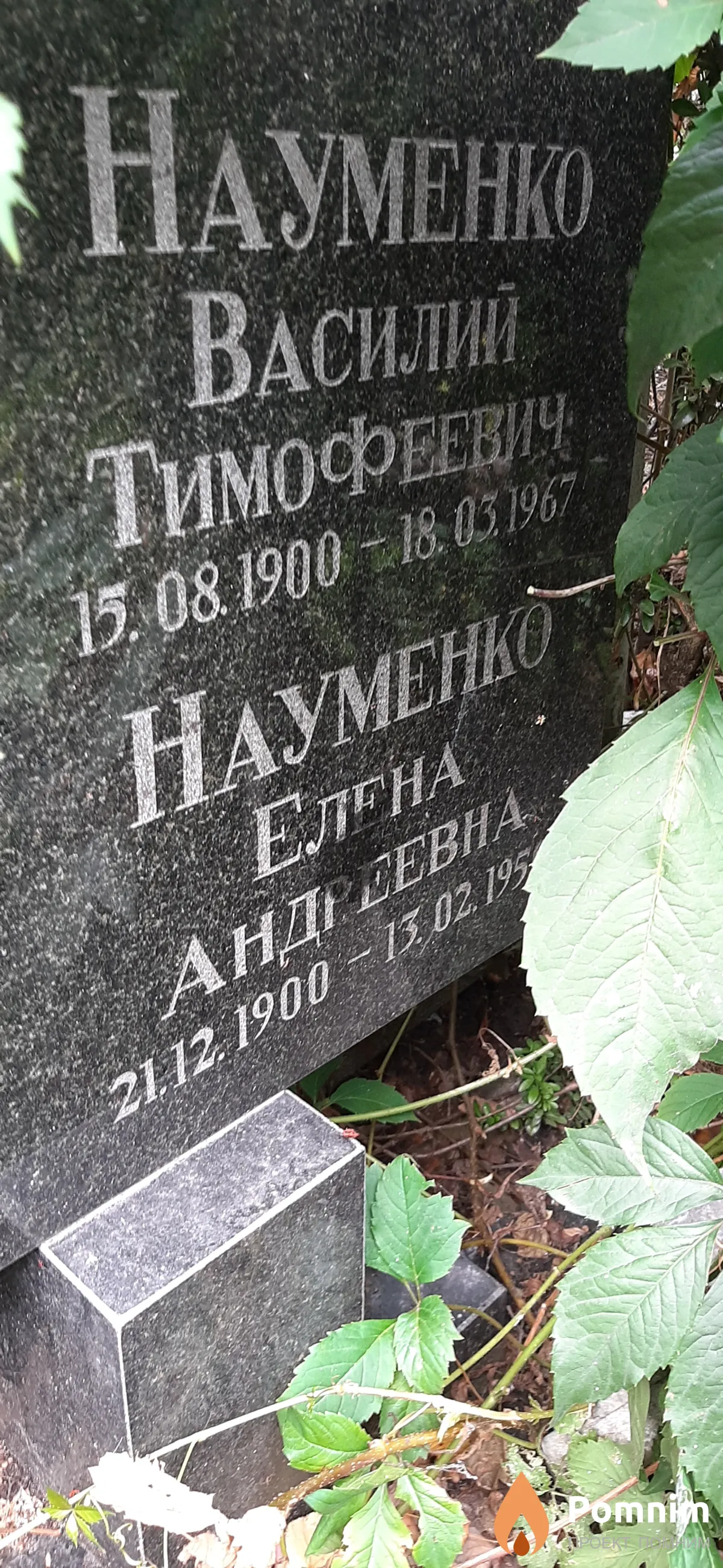 Науменко Елена Андреевна
