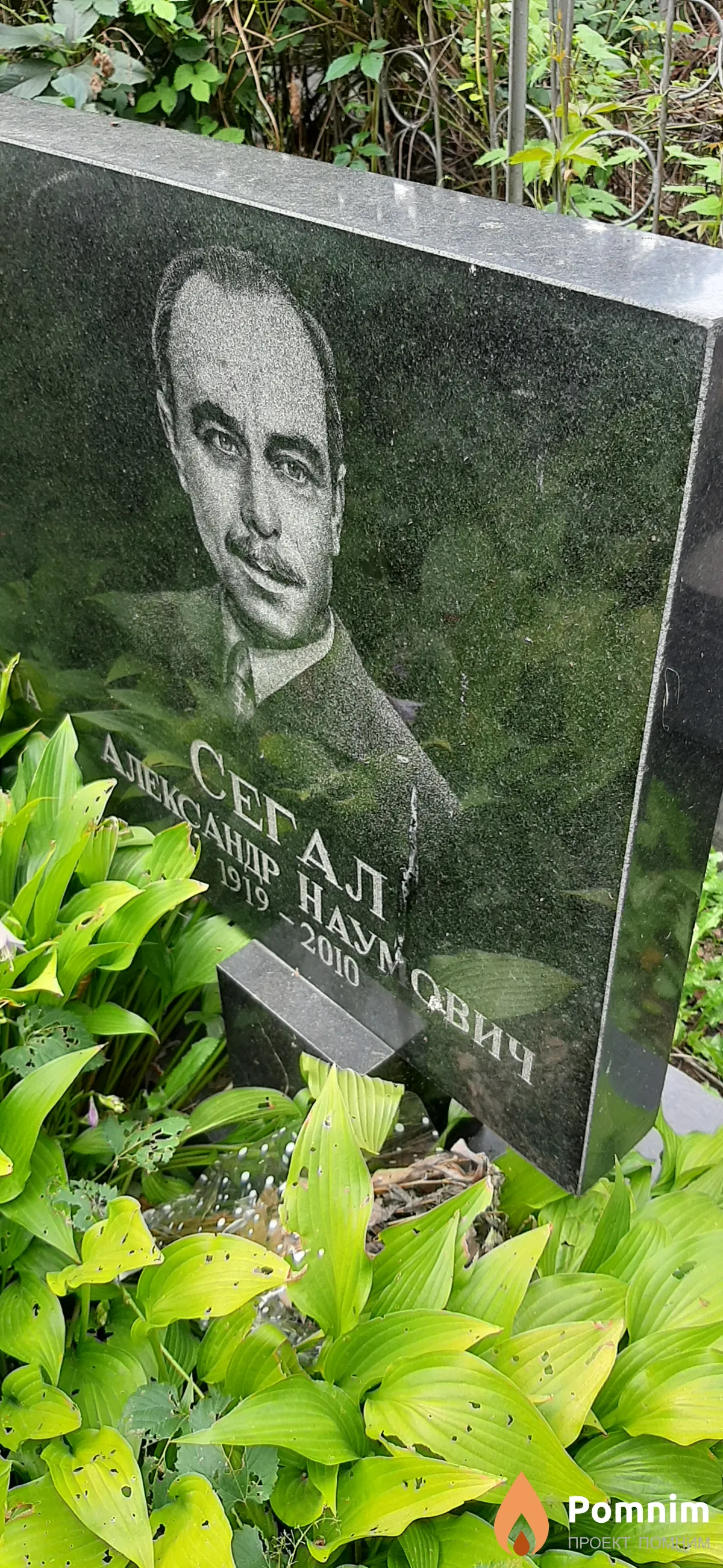 Сегал Наумович