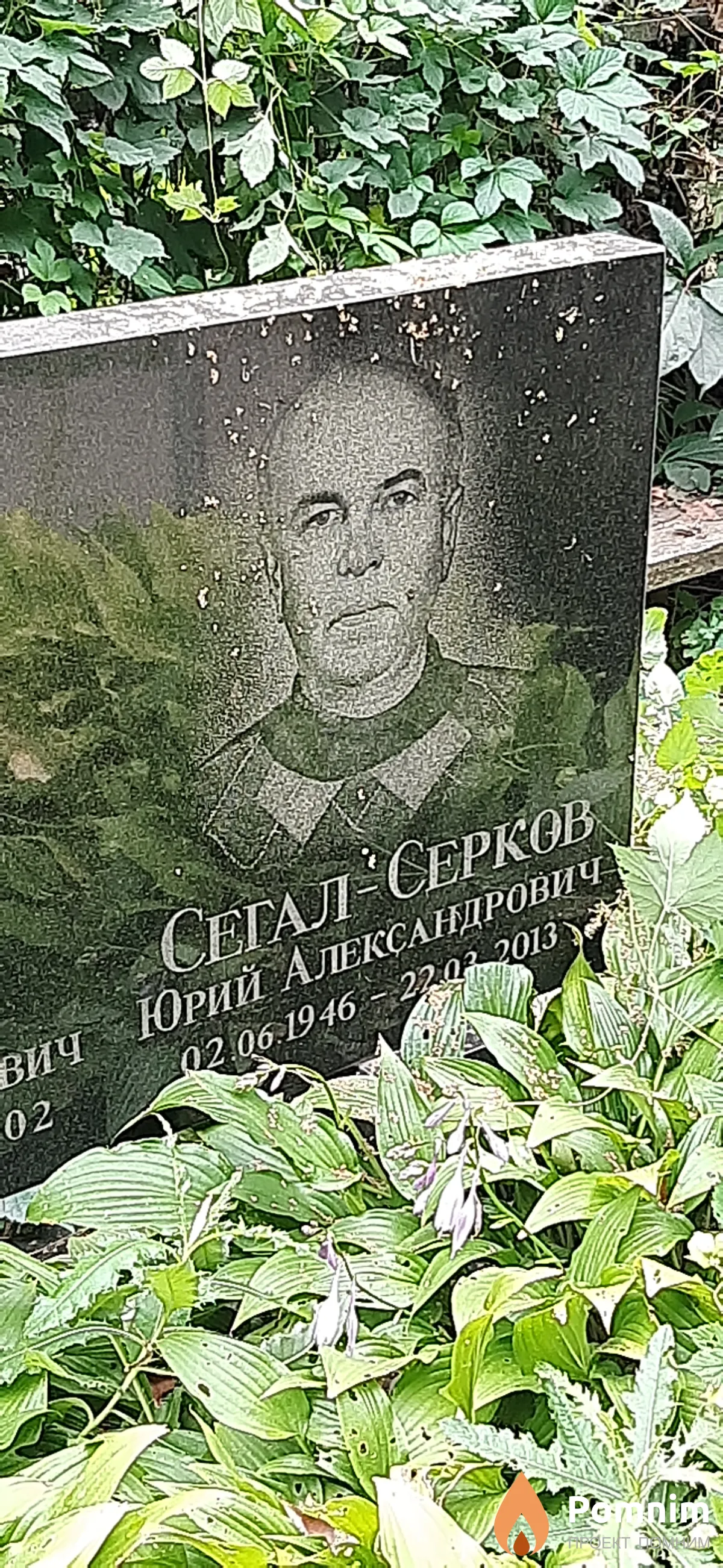 Сегал Серков Александрович