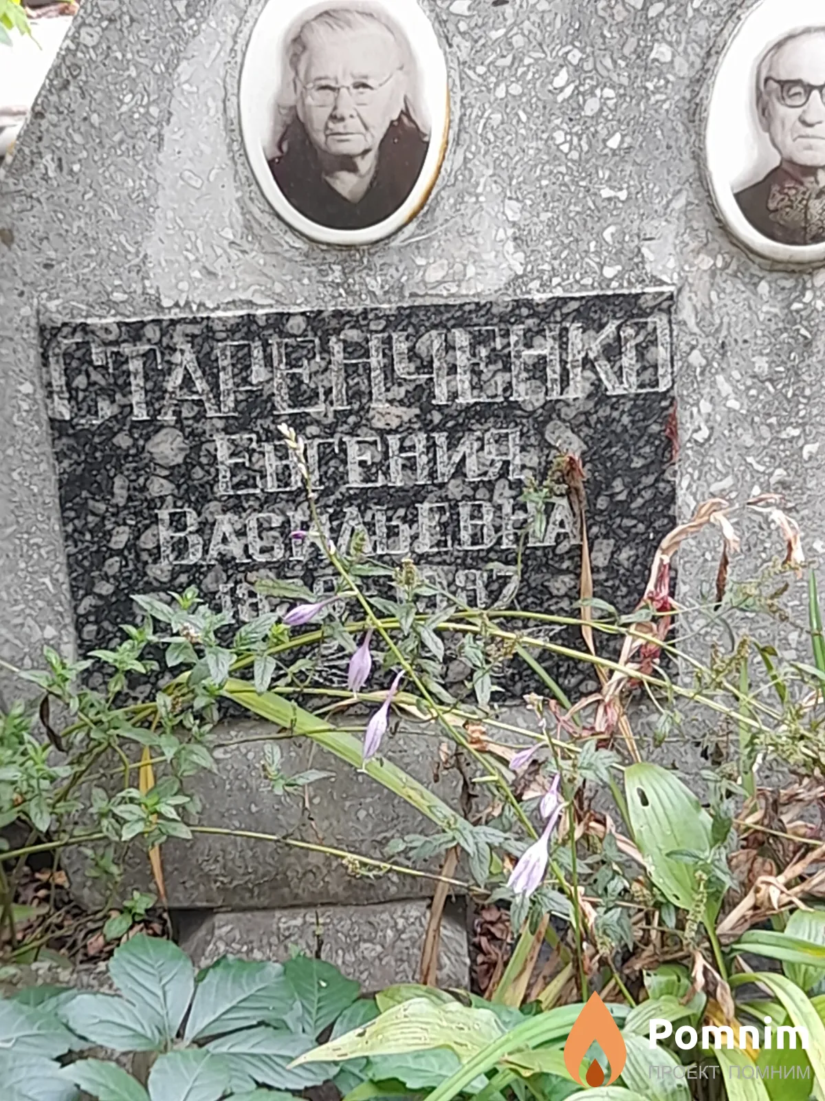 Старенченко Евгения Васильевна