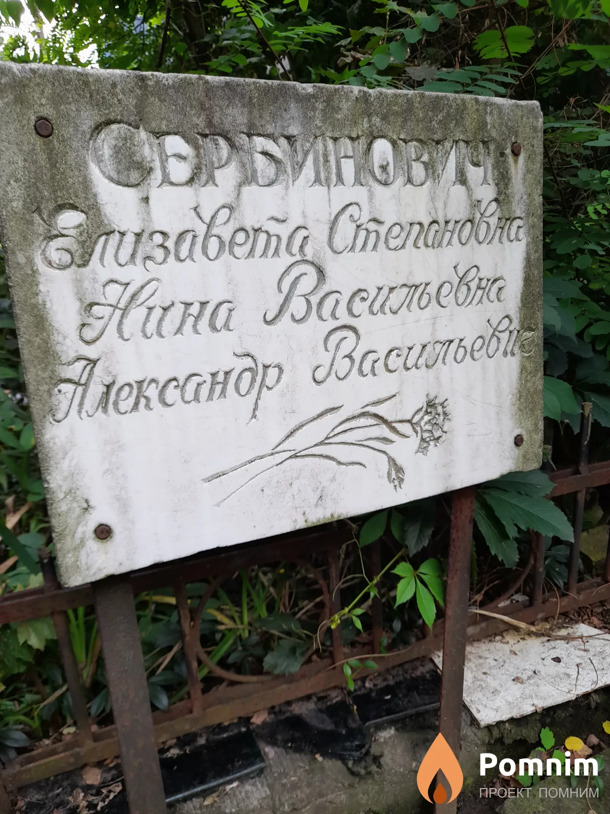 Сербинович Елизавета Степанoвна