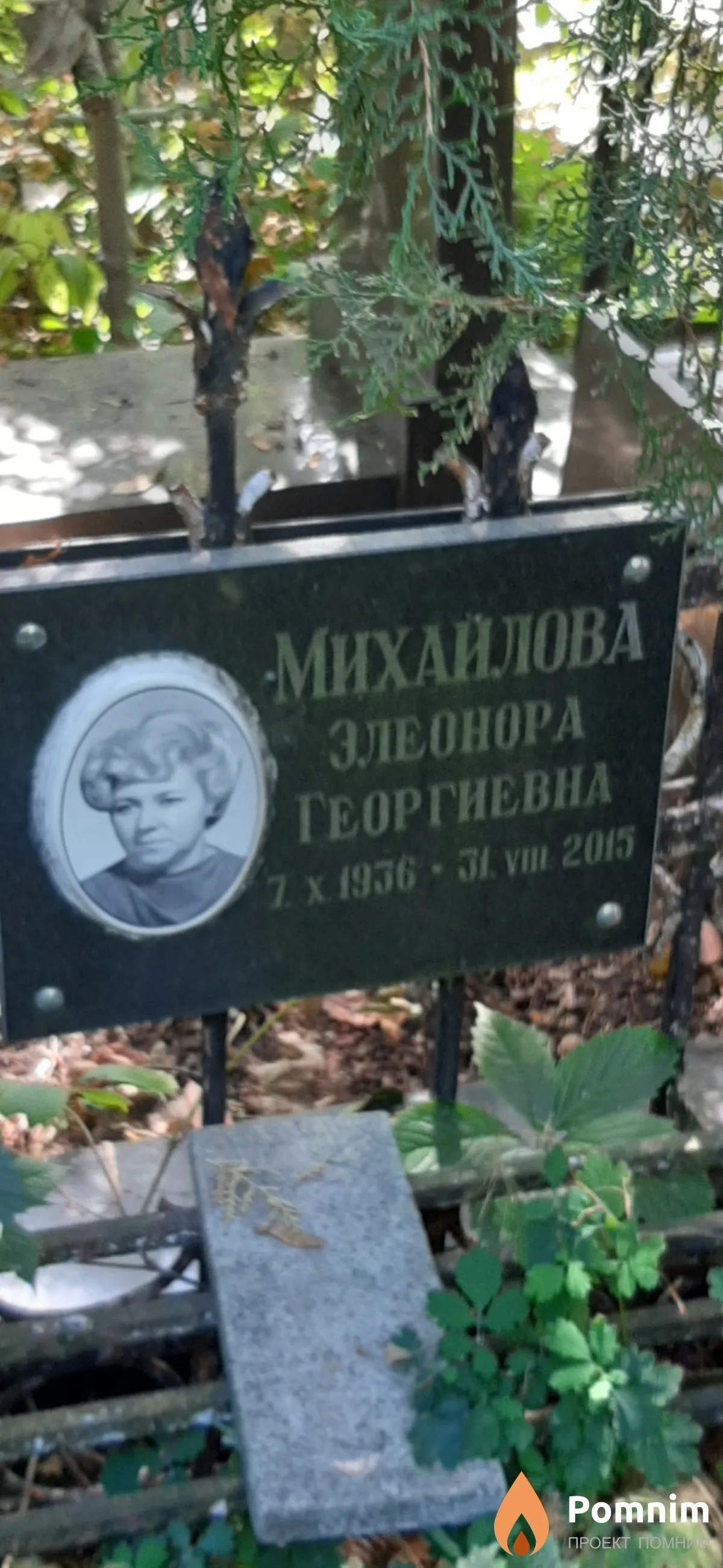 Михайлова Элеонора Георгиевна