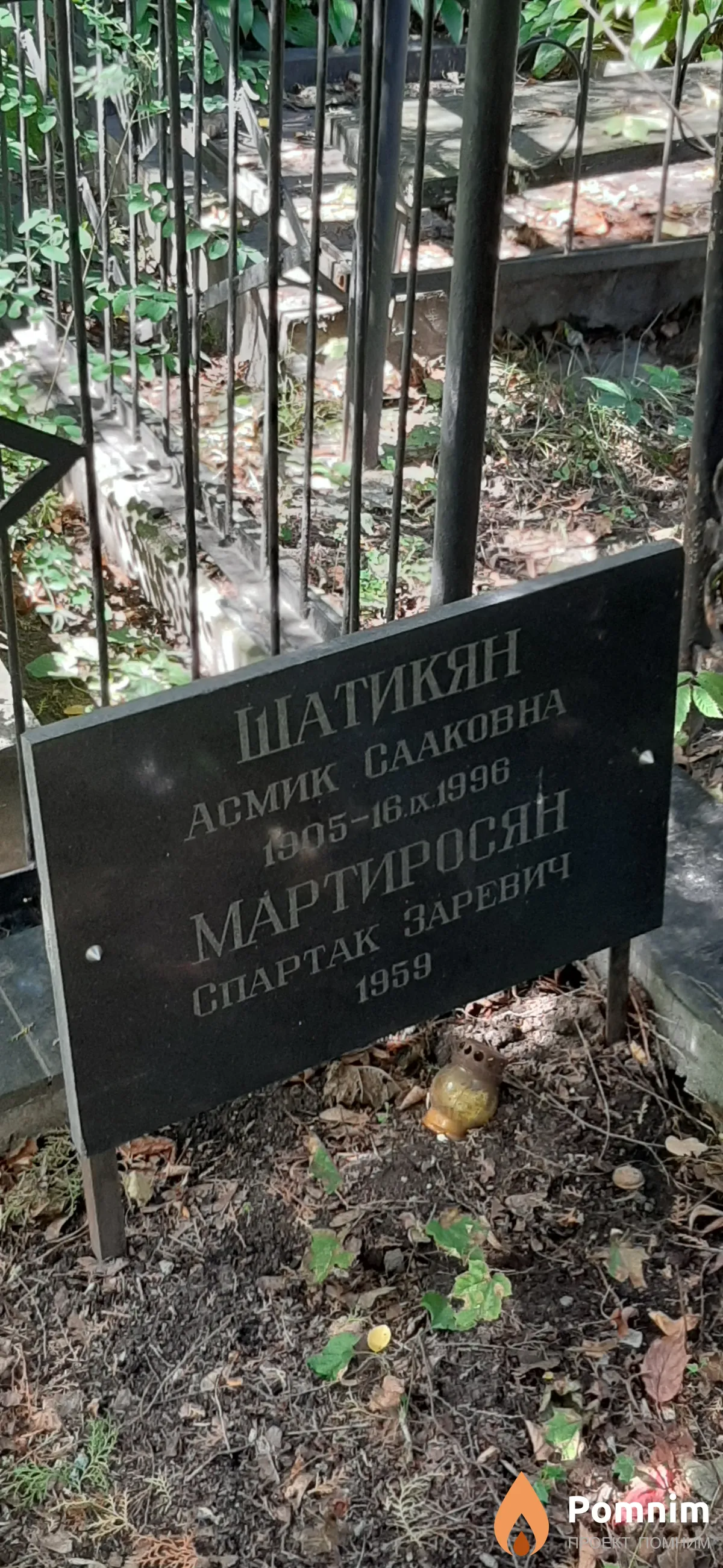 Шатикян Асмик Сааковна