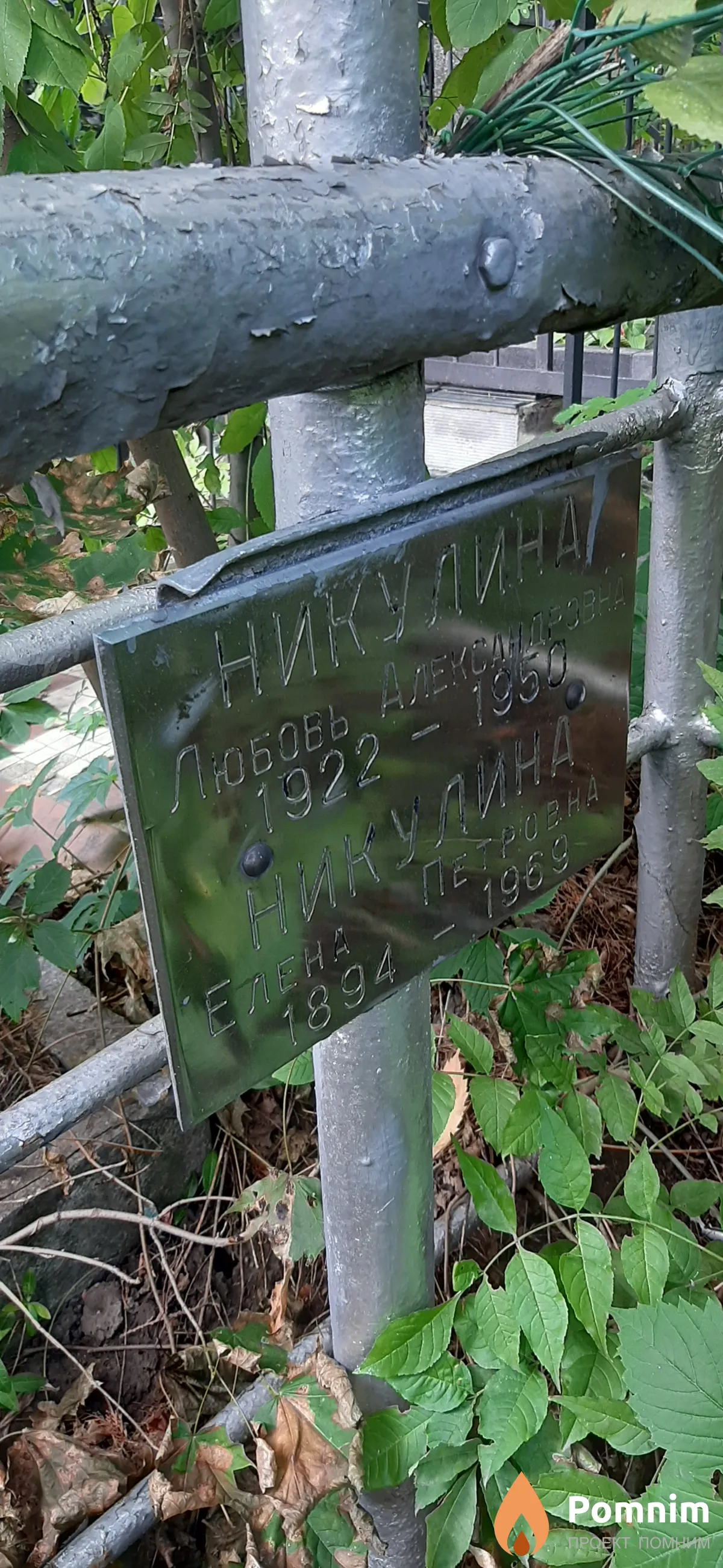 Никулина Елена Петровна