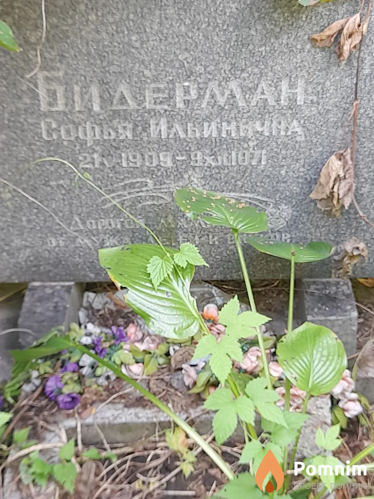 Бидерман Софья Ильинична