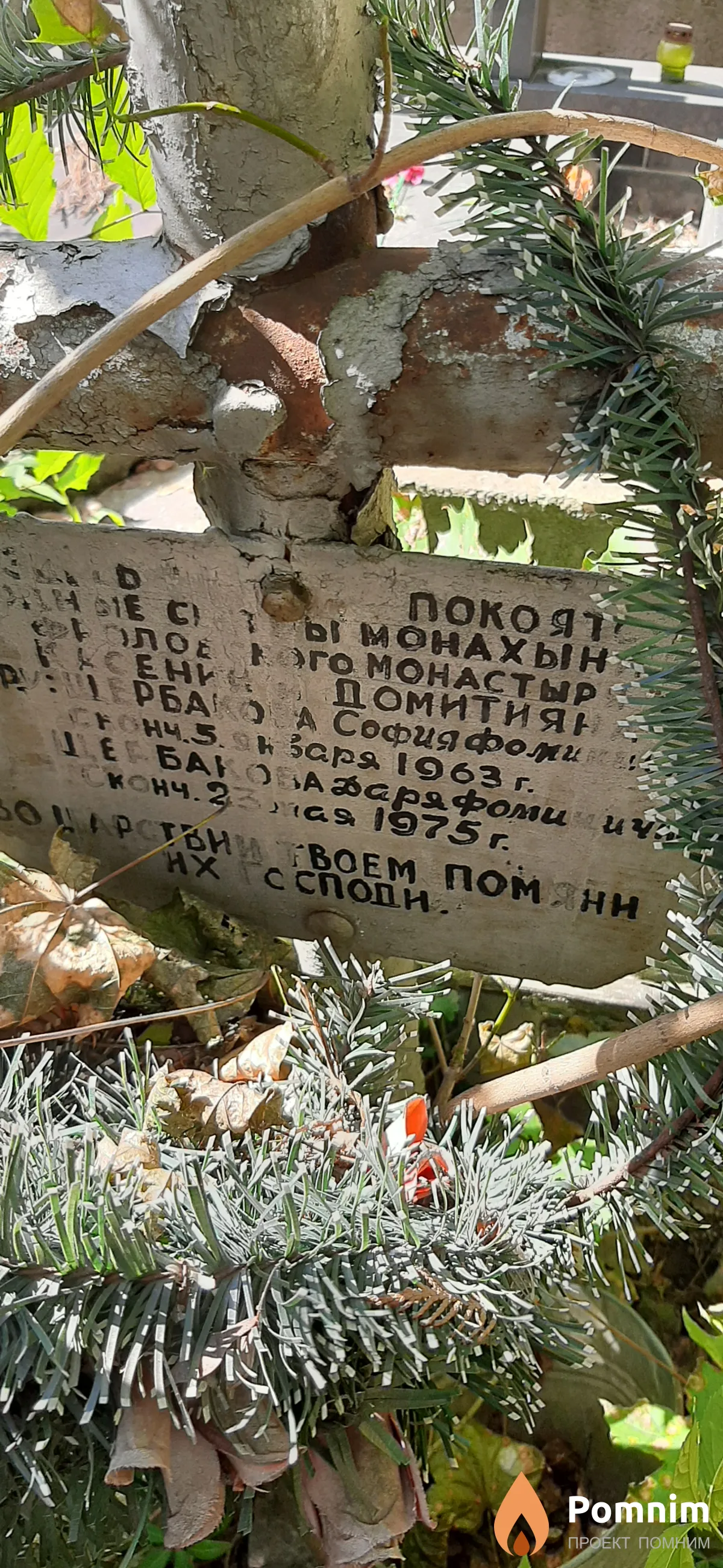 Щербакова Дарья Фоминична