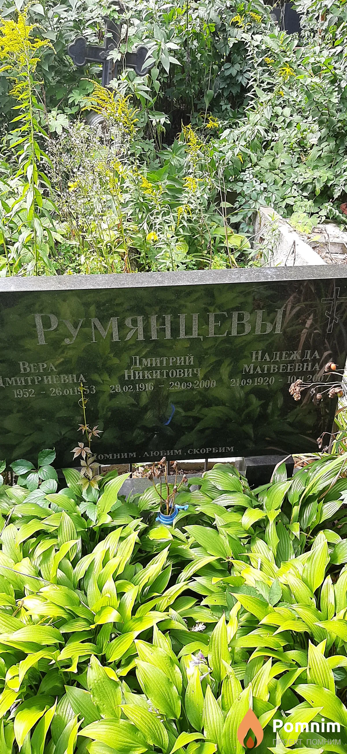 Румянцев Дмитрий Никитович