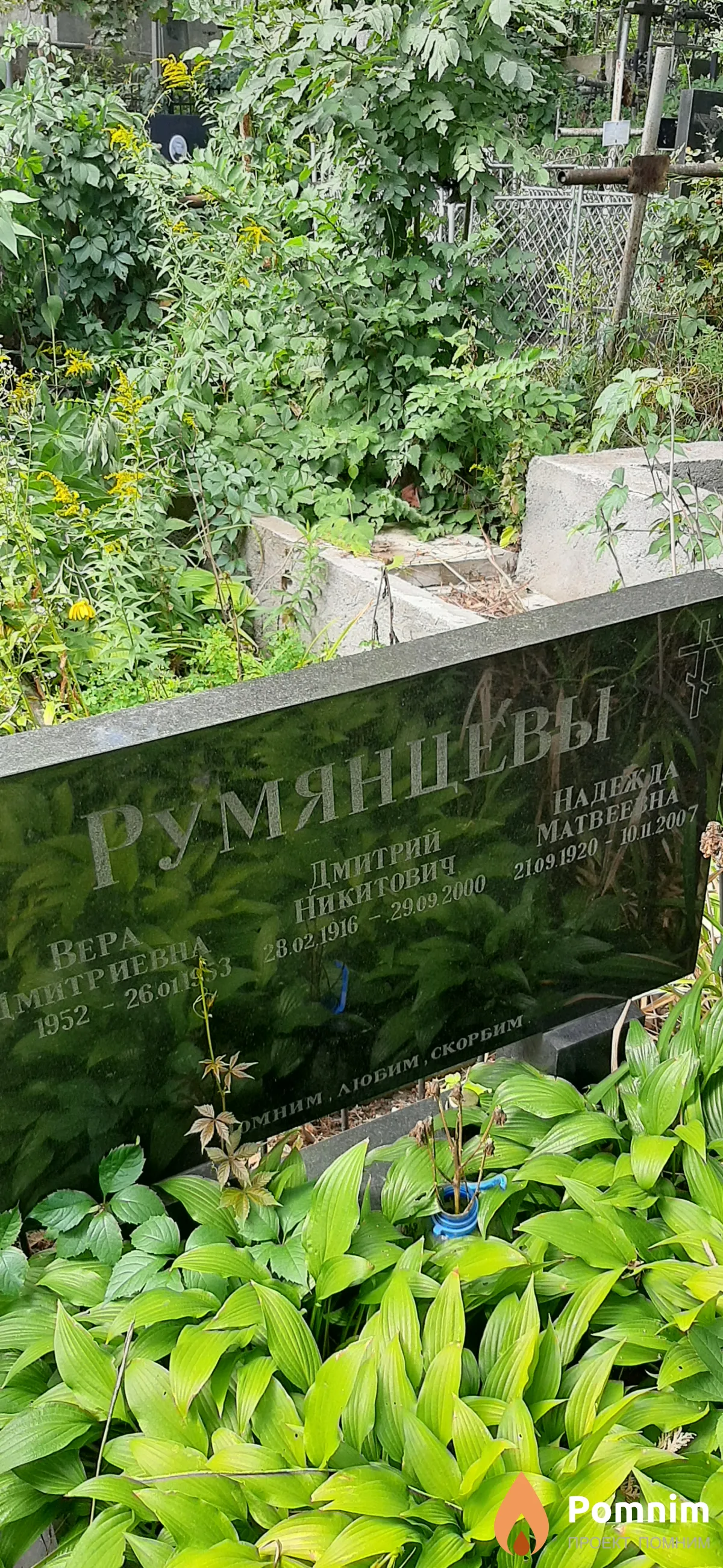 Румянцева Надежда Матвеевна