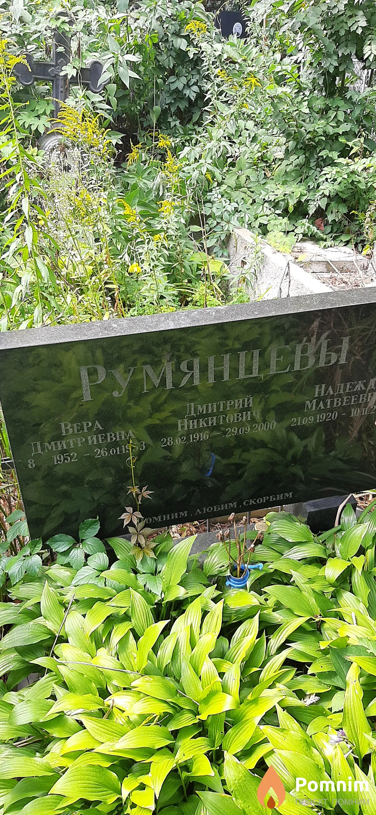 Румянцева Вера Дмитриевна
