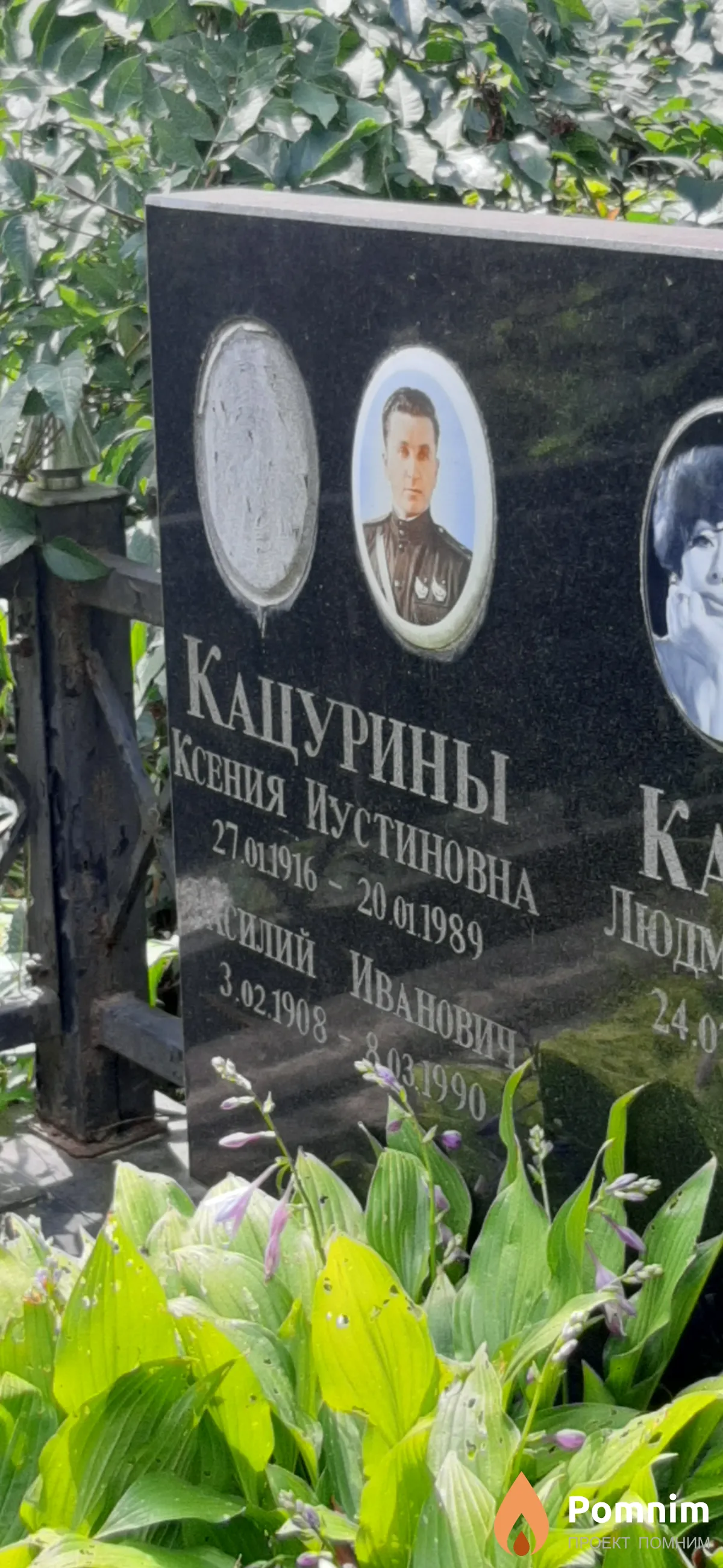 Кацурина Ксения Иустиновна