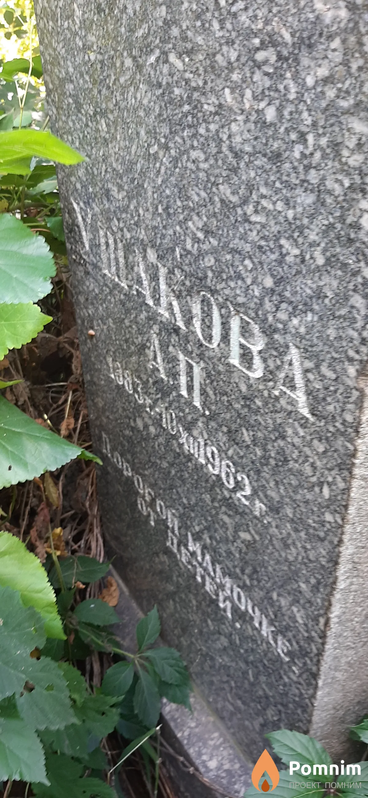 Ушакова А. П.