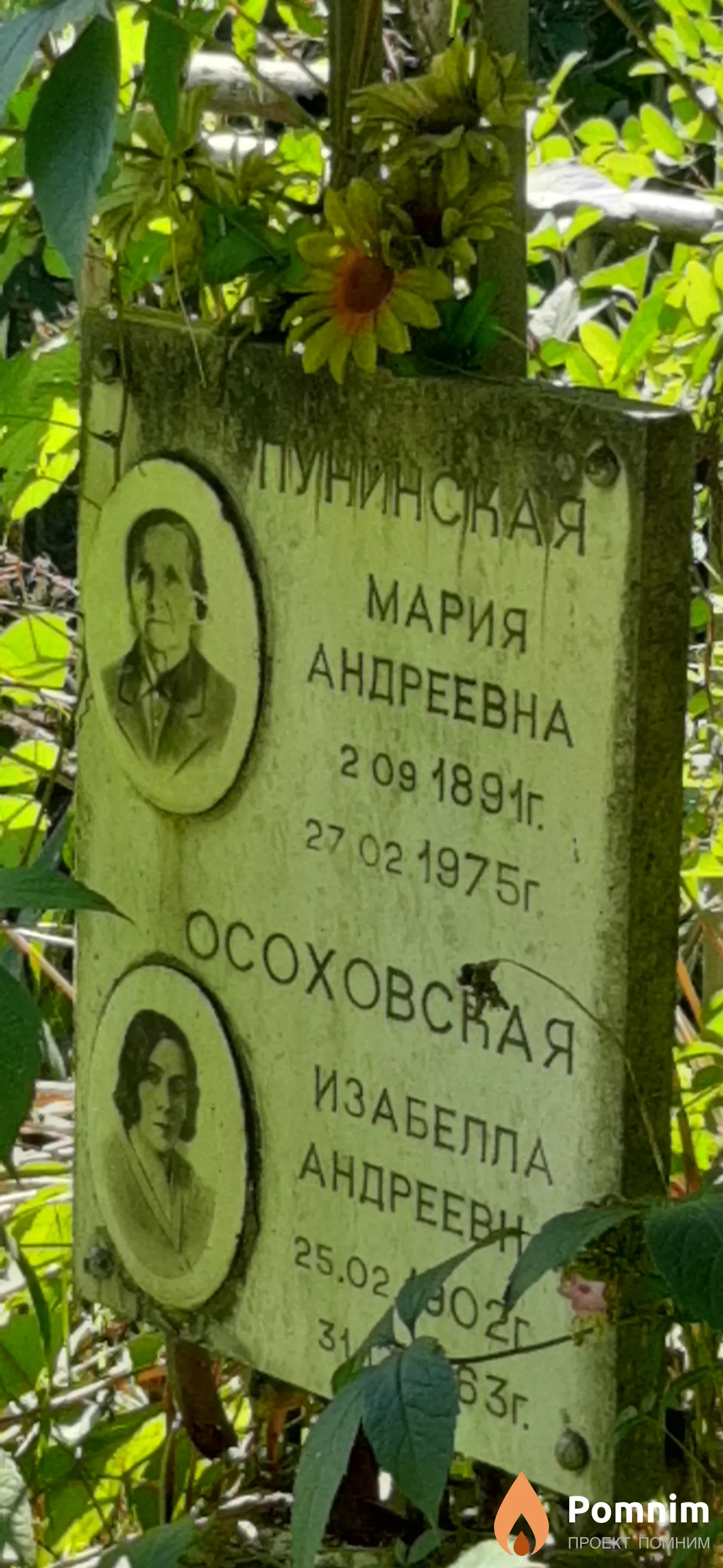 Пунинская Мария Андреевна