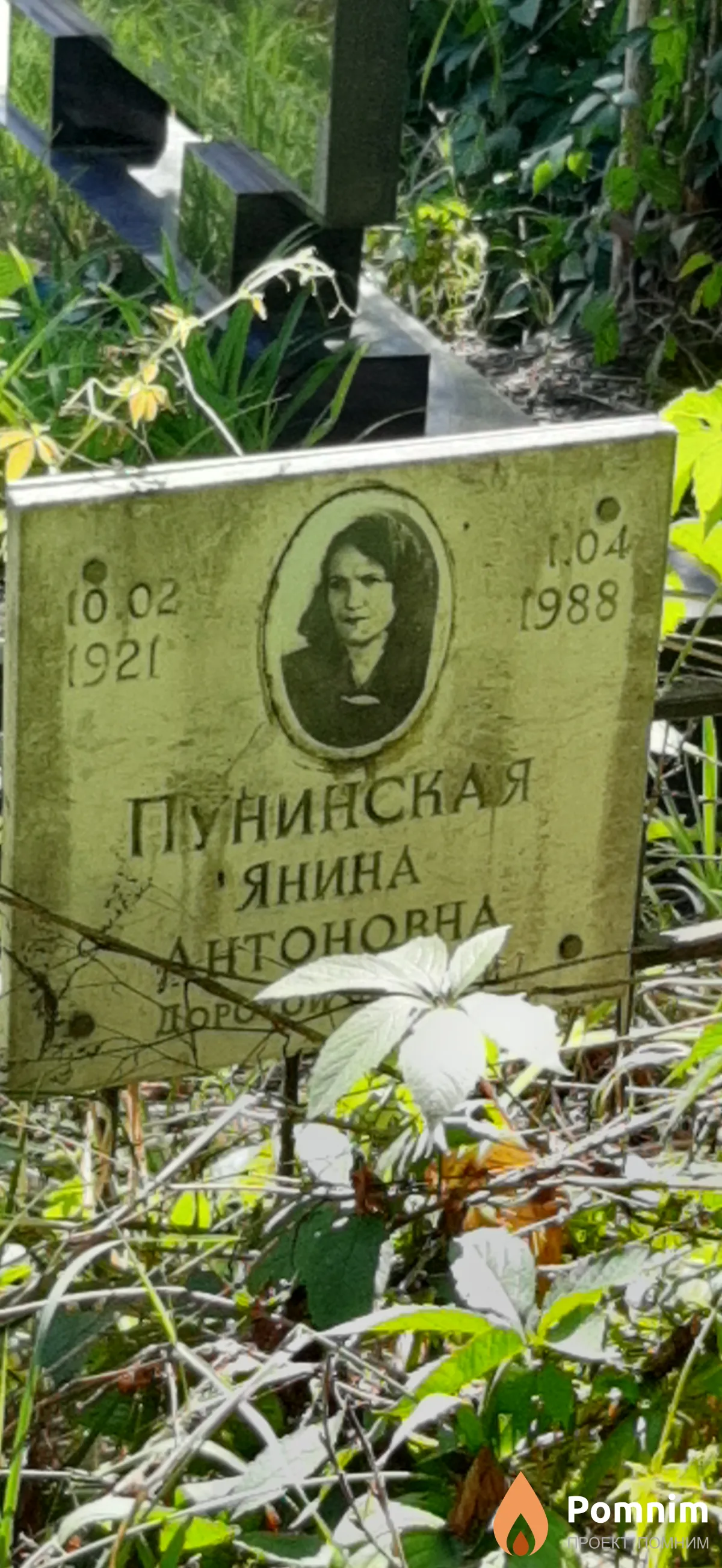 Пунинская Янина Aнтоновна