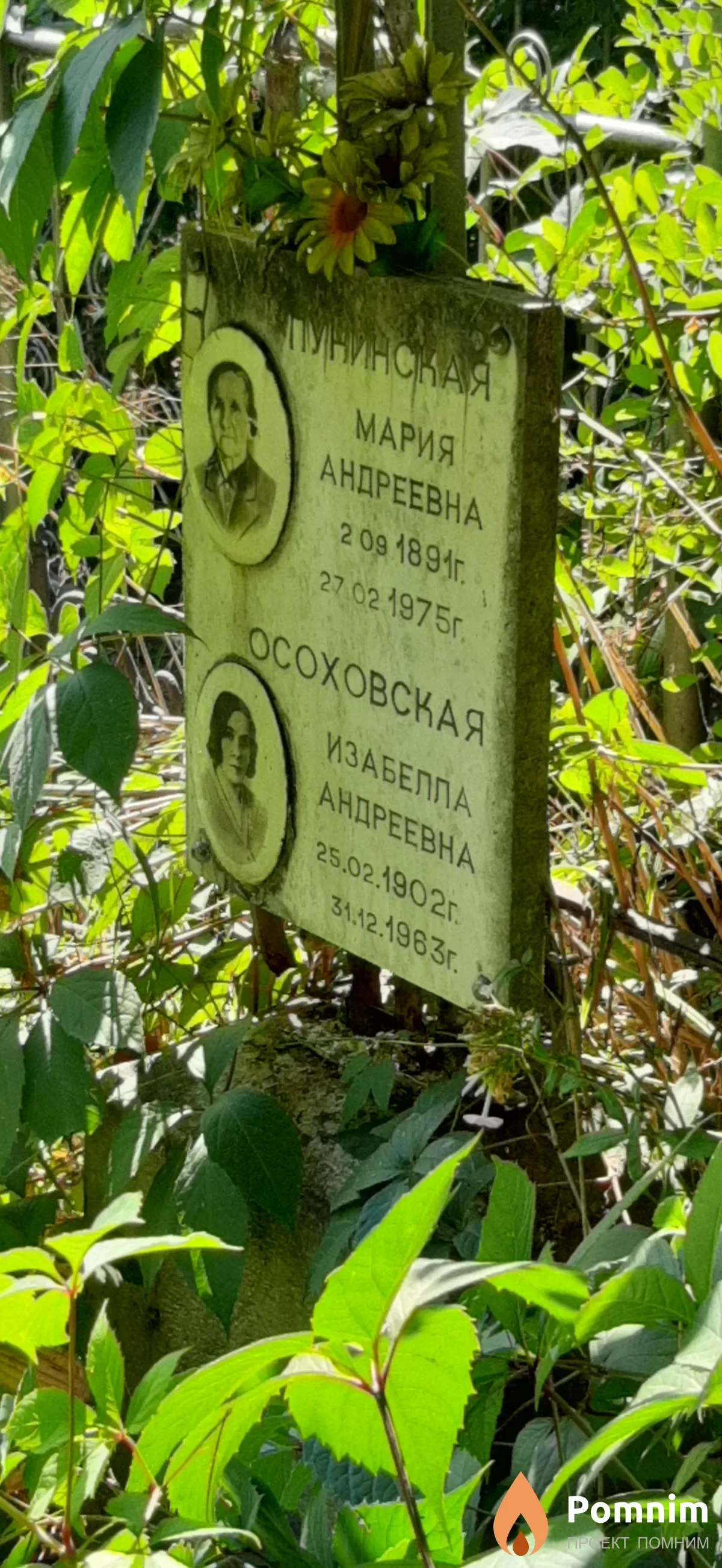 Осоховская Изабелла Андреевна