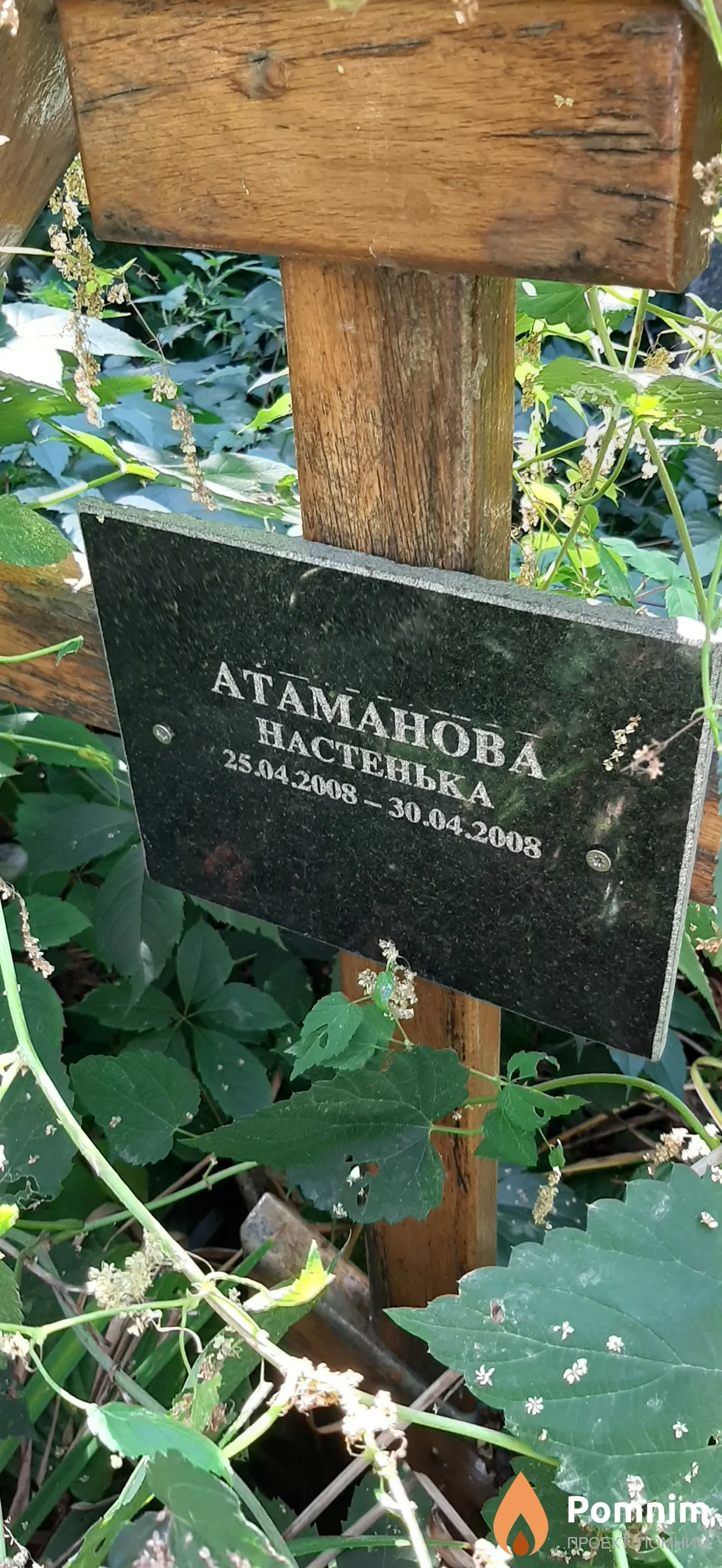 Атаманова Настенька