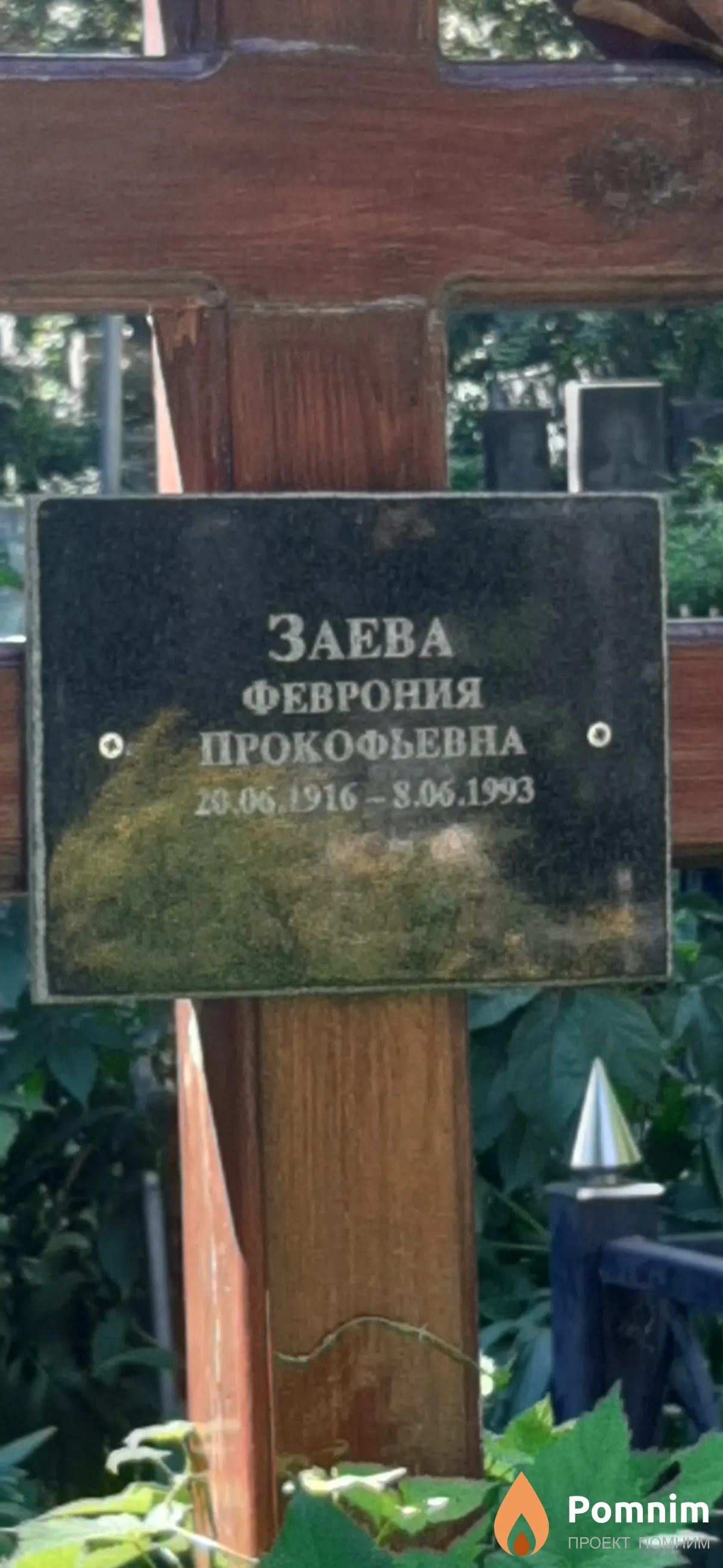 Заева Феврония Прокофьевна