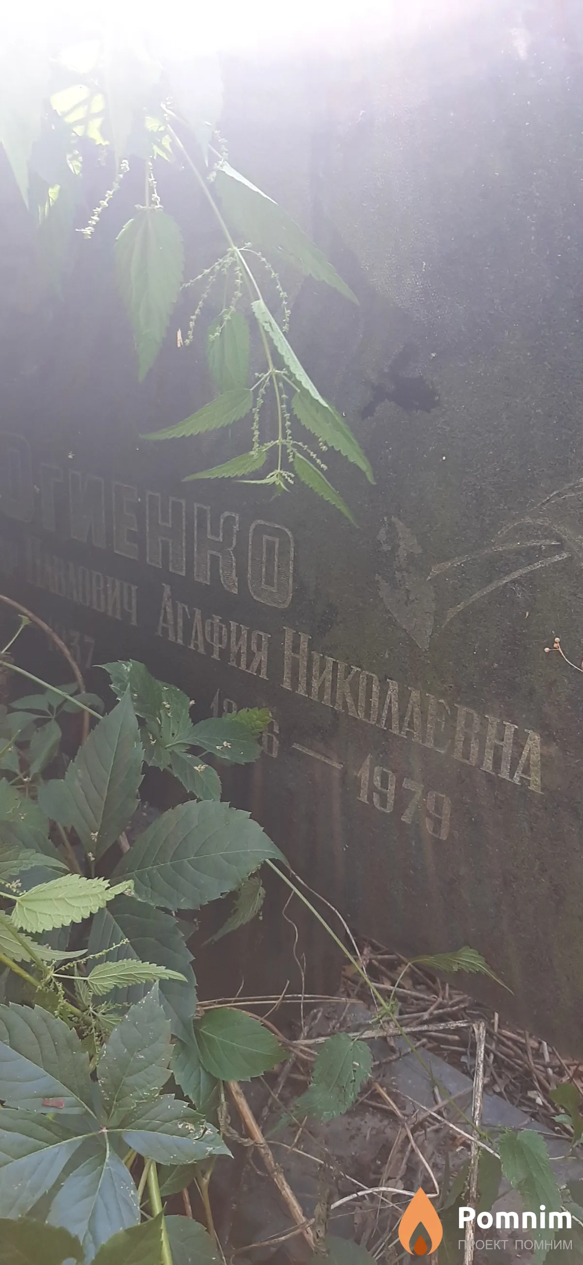 Огиенко Агафия Николаевна