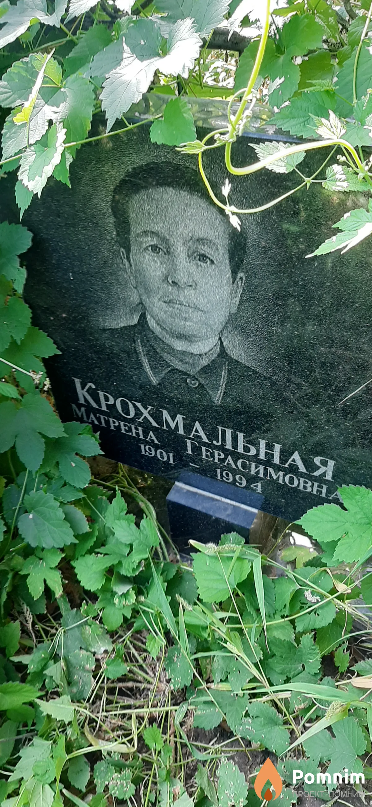 Крохмальная Матрена Герасимовна