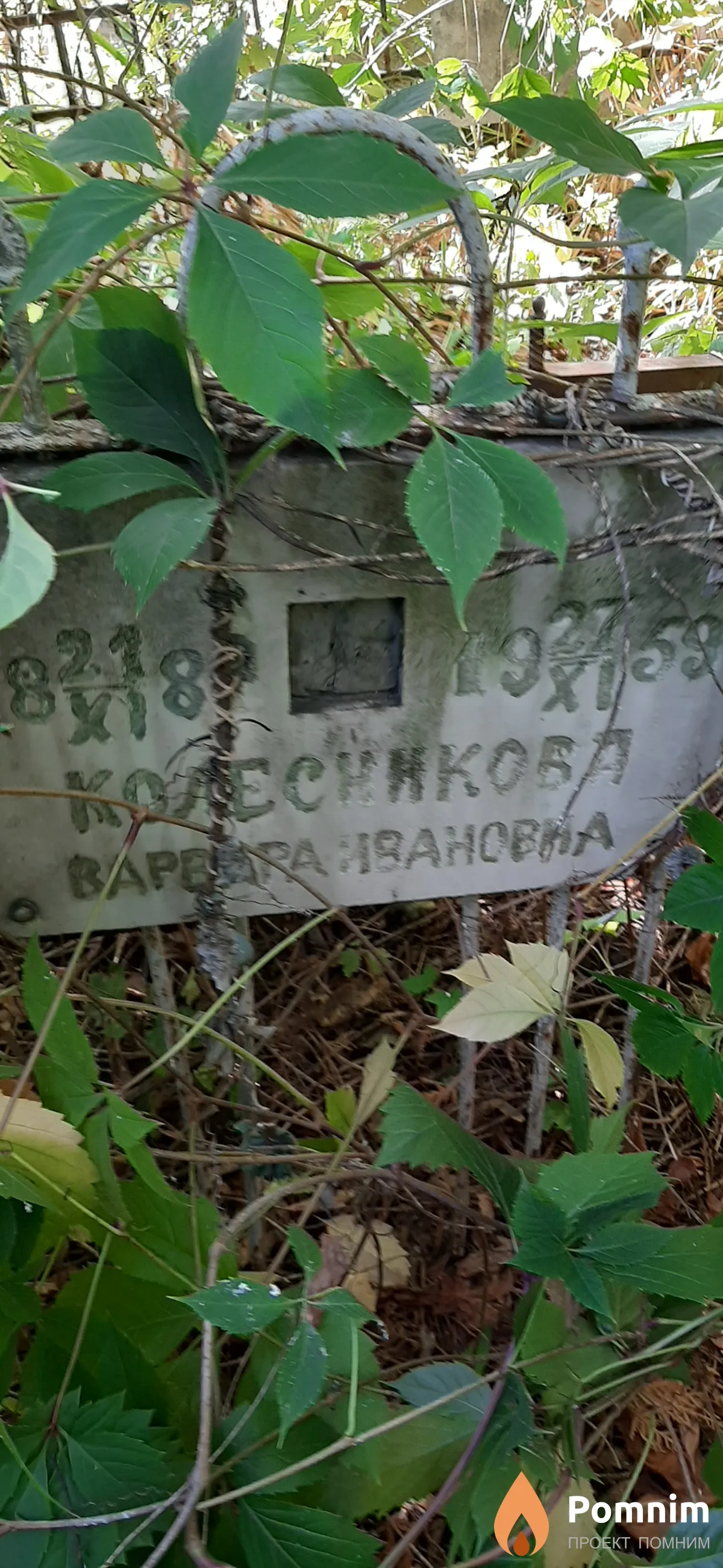 Колесникова Варвара Ивановна