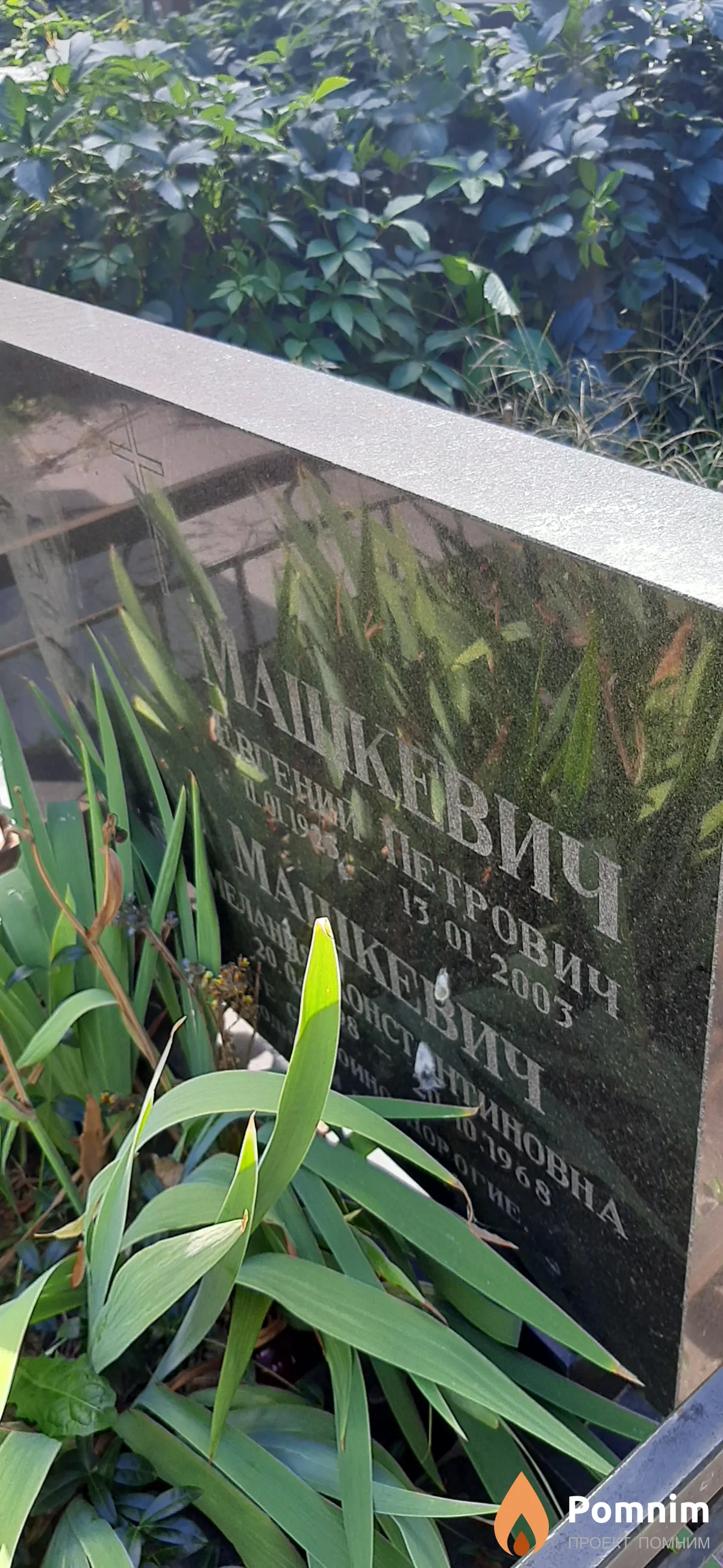 Машкевич Евгений Петрович
