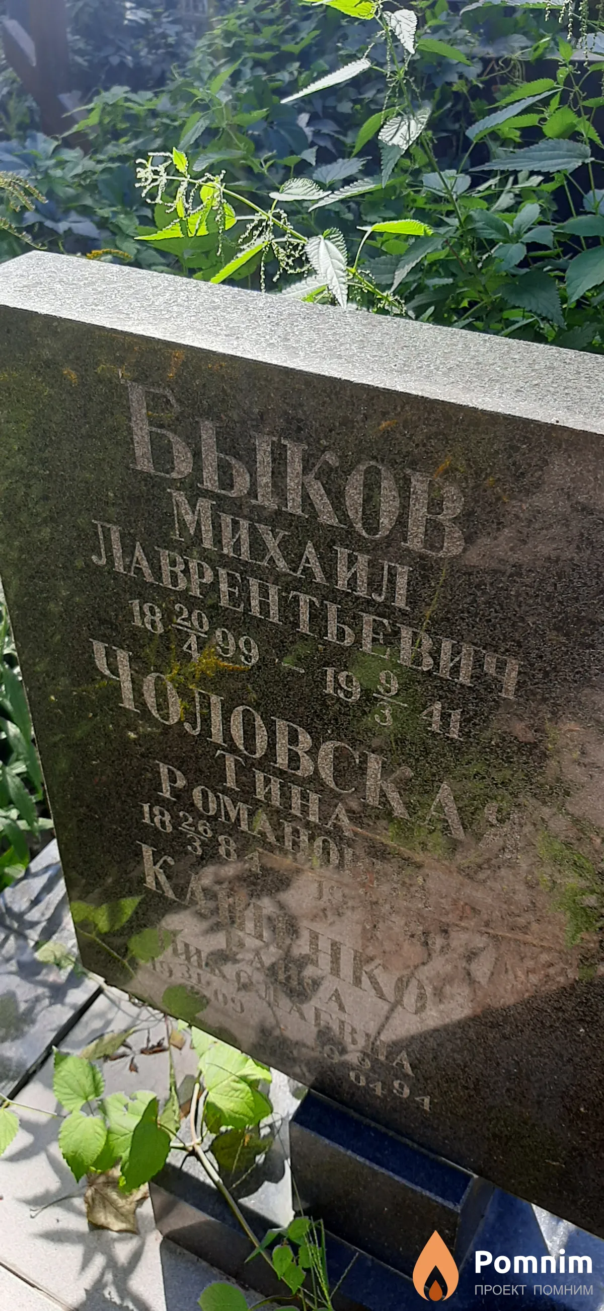 Быков Михаил Лаврентьевич