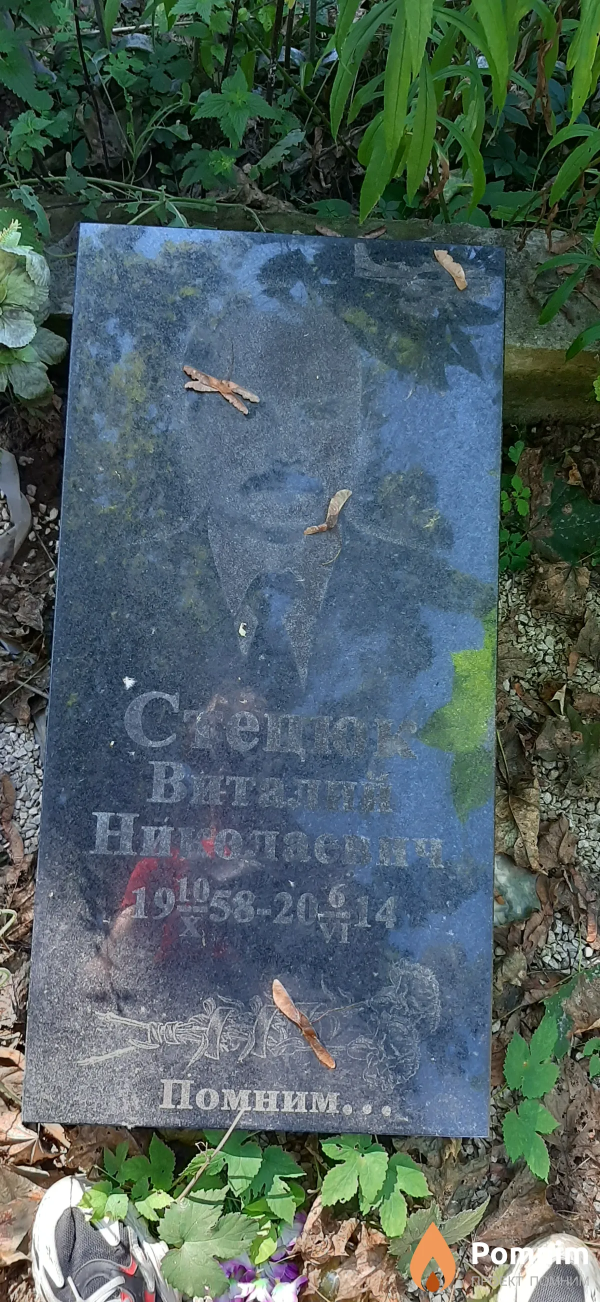 Стецюк Виталий Николаевич