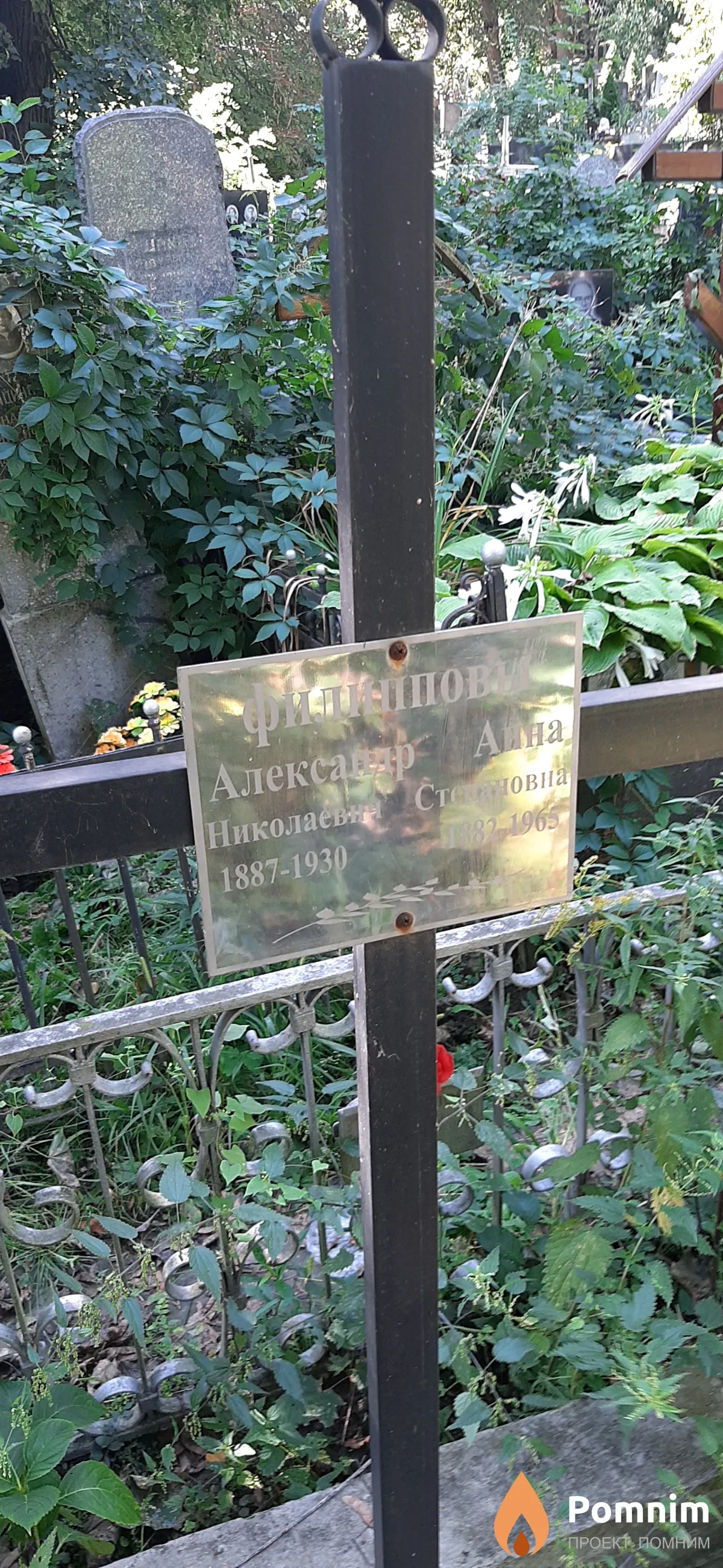 Филиппов Александр Николаевич