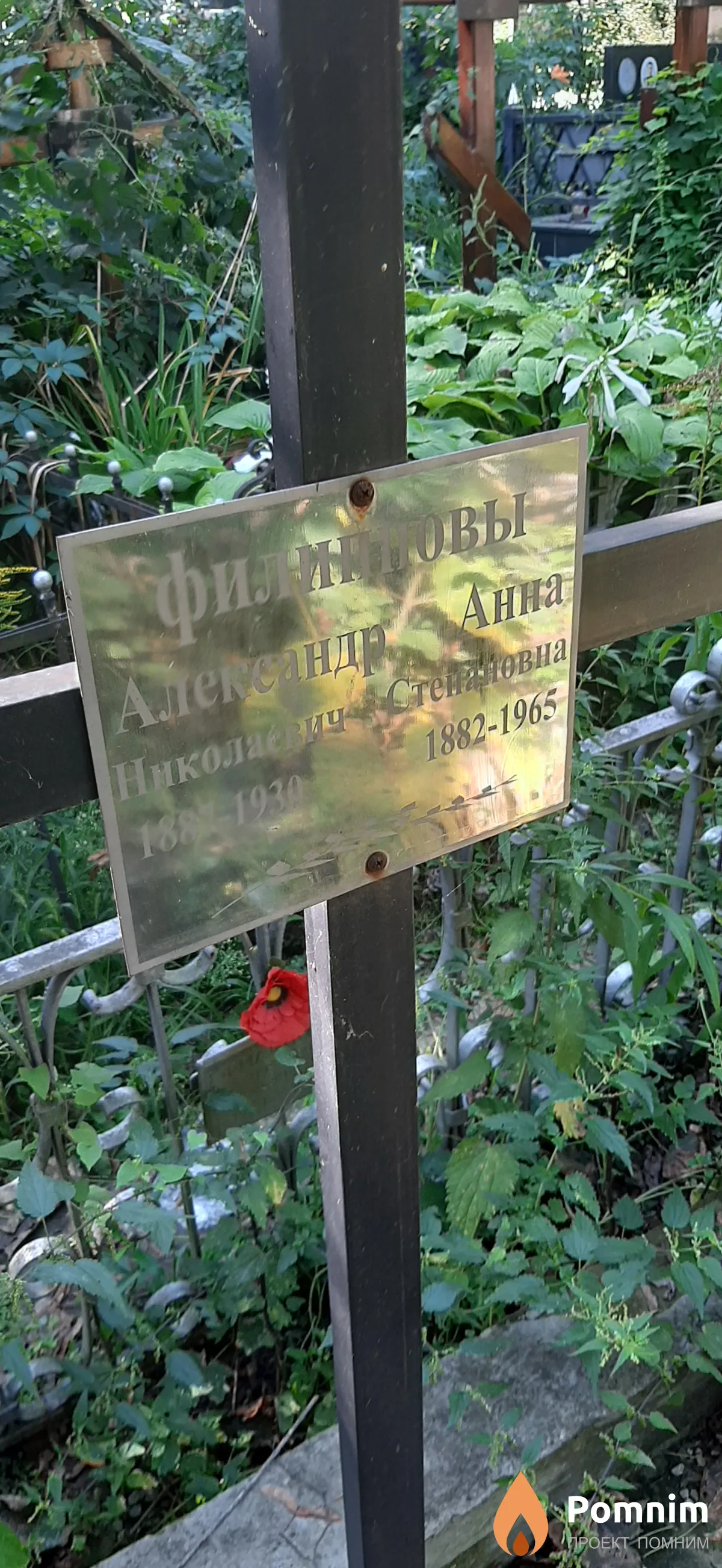 Филиппова Анна Степановна