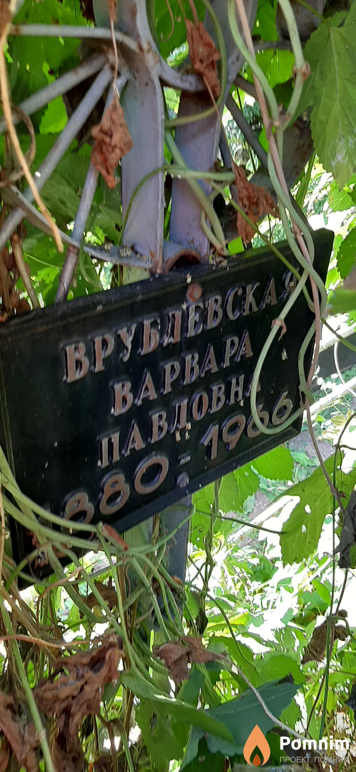 Врублевская Варвара Павловна