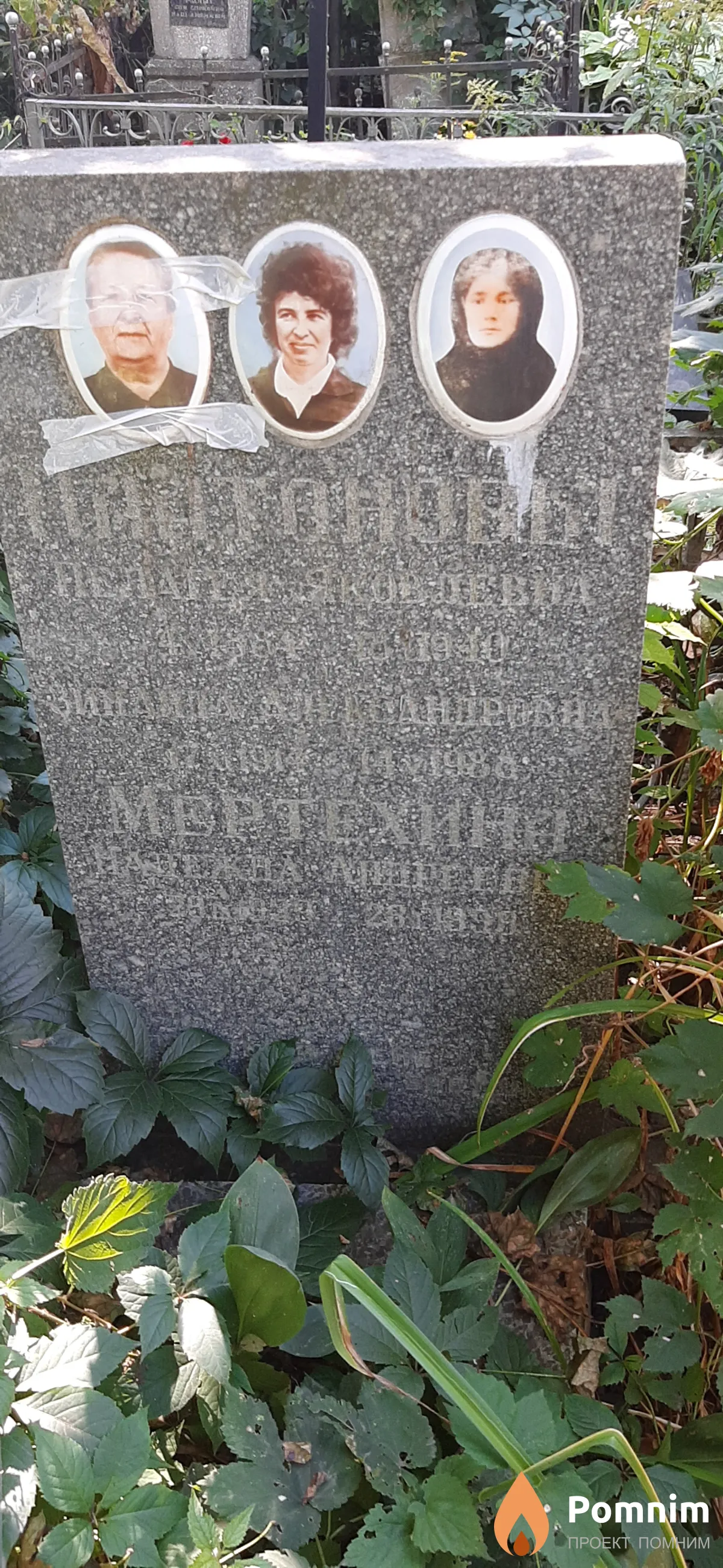 Мертехина Надежда Андреевна
