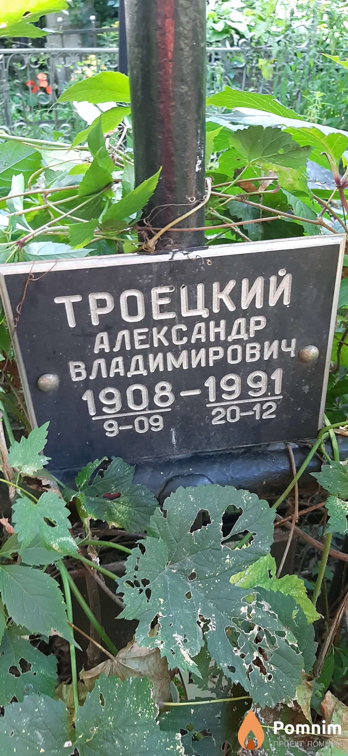 Троецкий Александр Владимирович