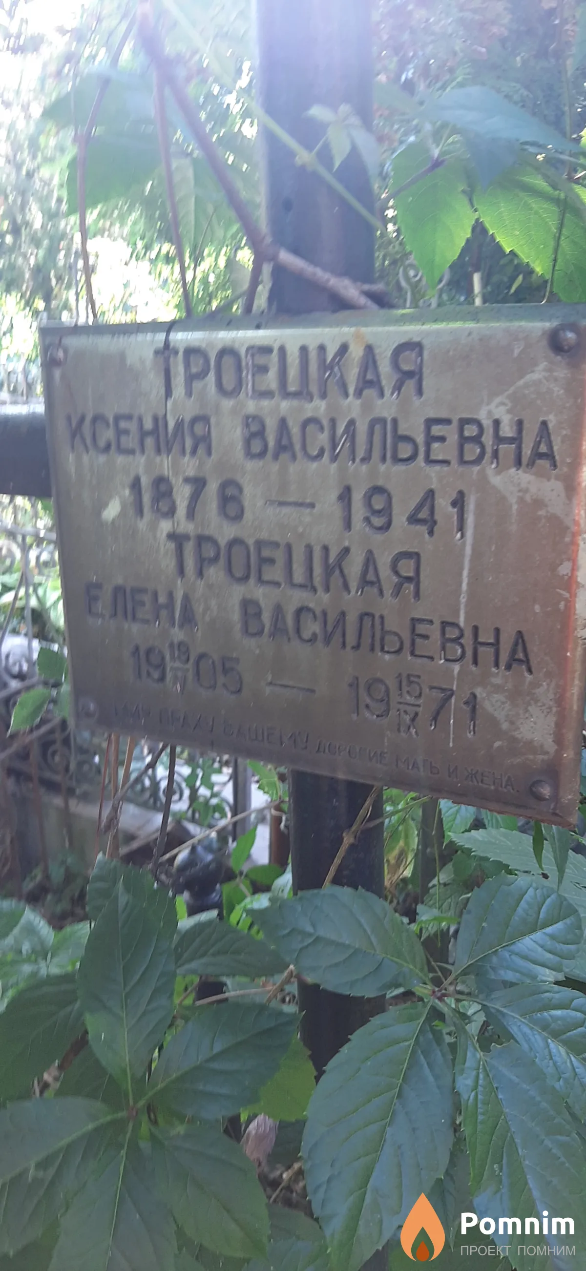 Троецкая Елена Васильевна
