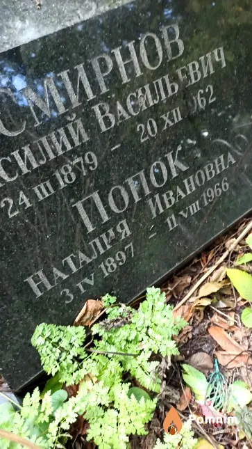 Попок Наталия Ивановна