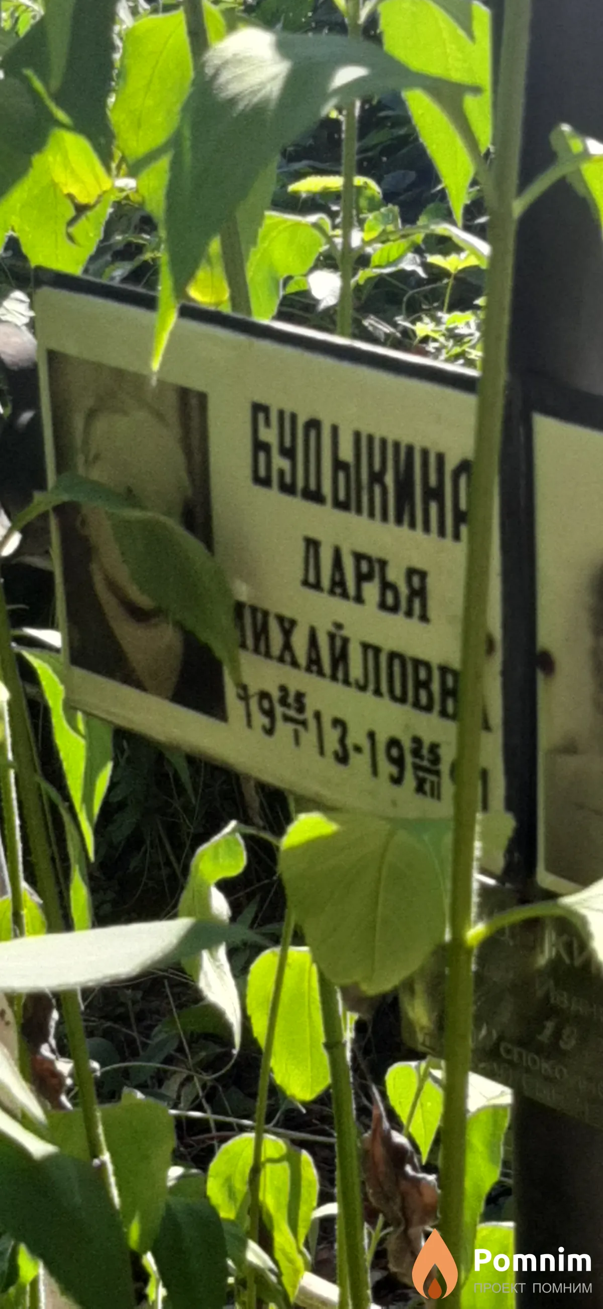 Будыкина Дарья Михайловна