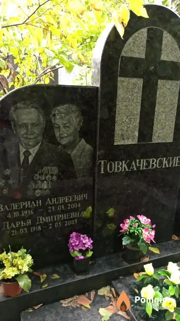 Товкачевская Дарья Дмитриевна