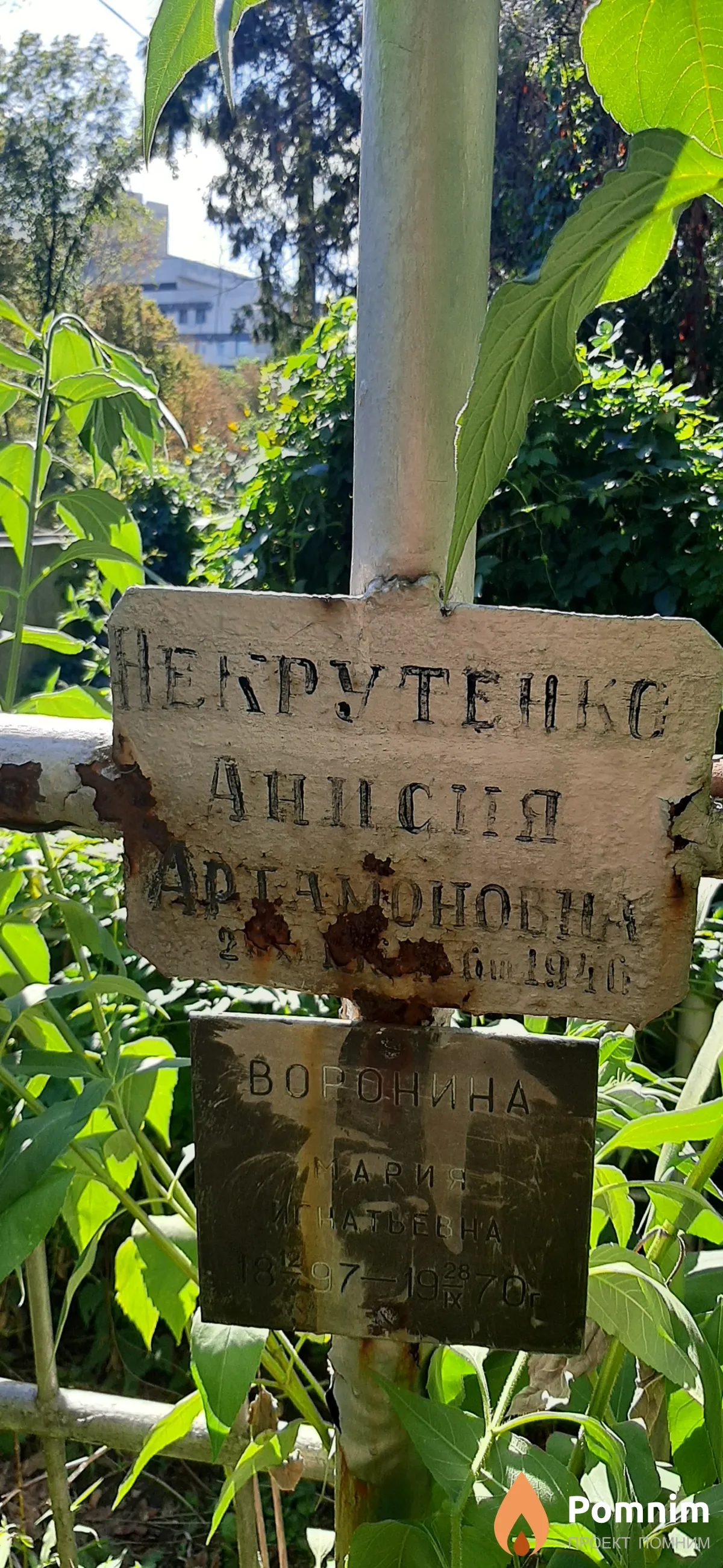 Некрутенко Анисия Артамоновна