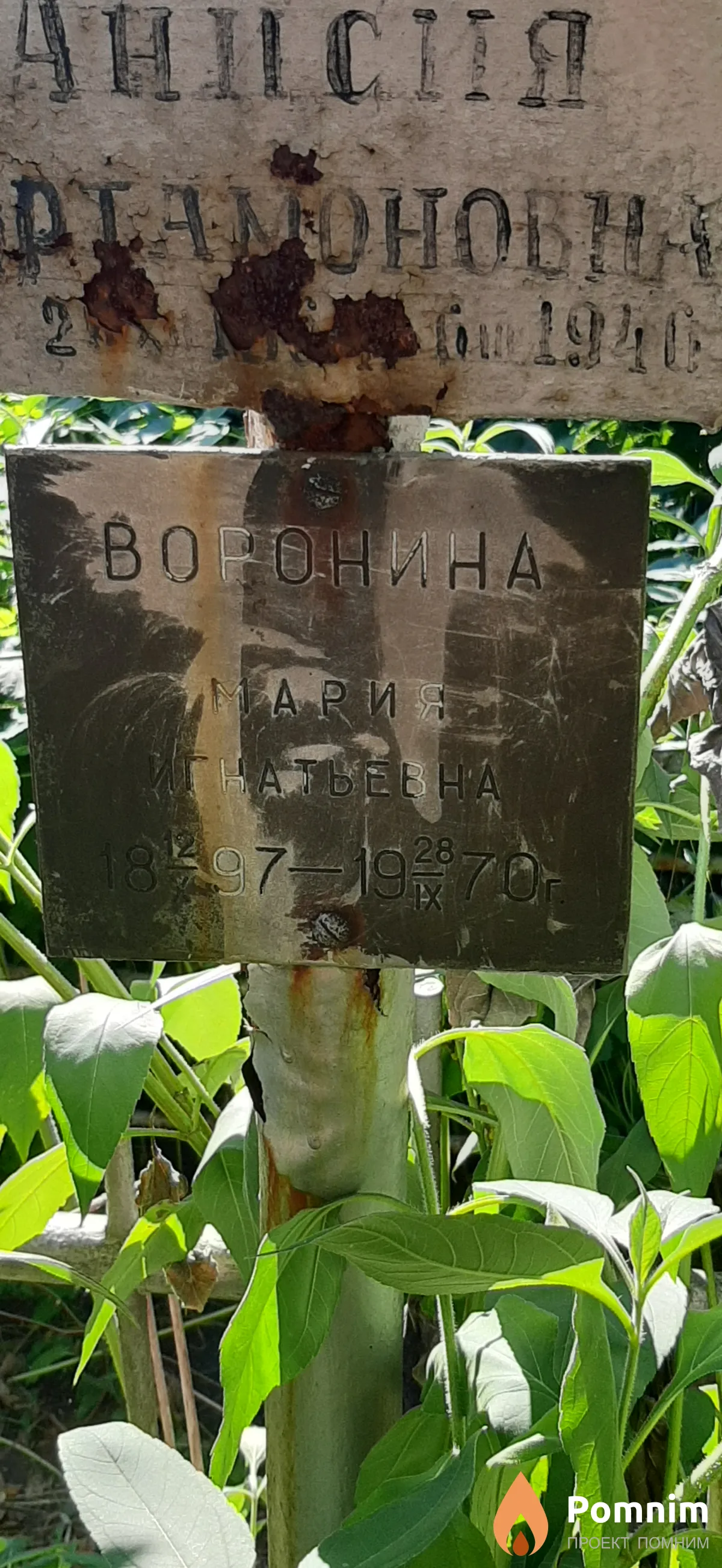 Воронина Мария Игнатьевна