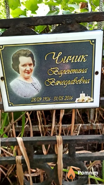 Чичик Валентина Вячеславовна