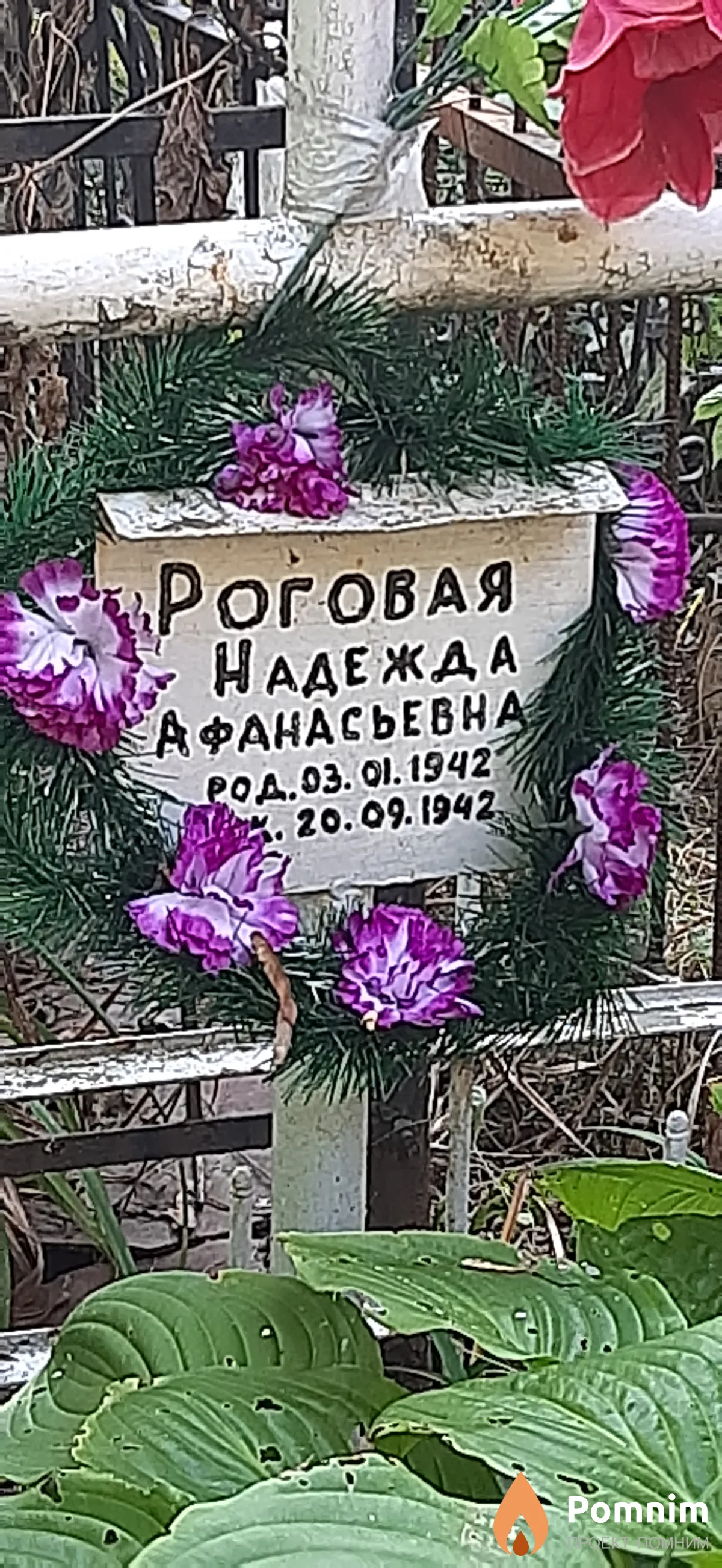 Роговая Надежда Афанасьевна