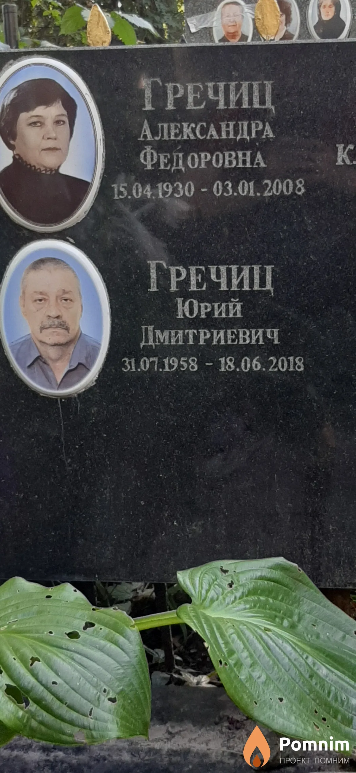 Гречиц Юрий Дмитриевич